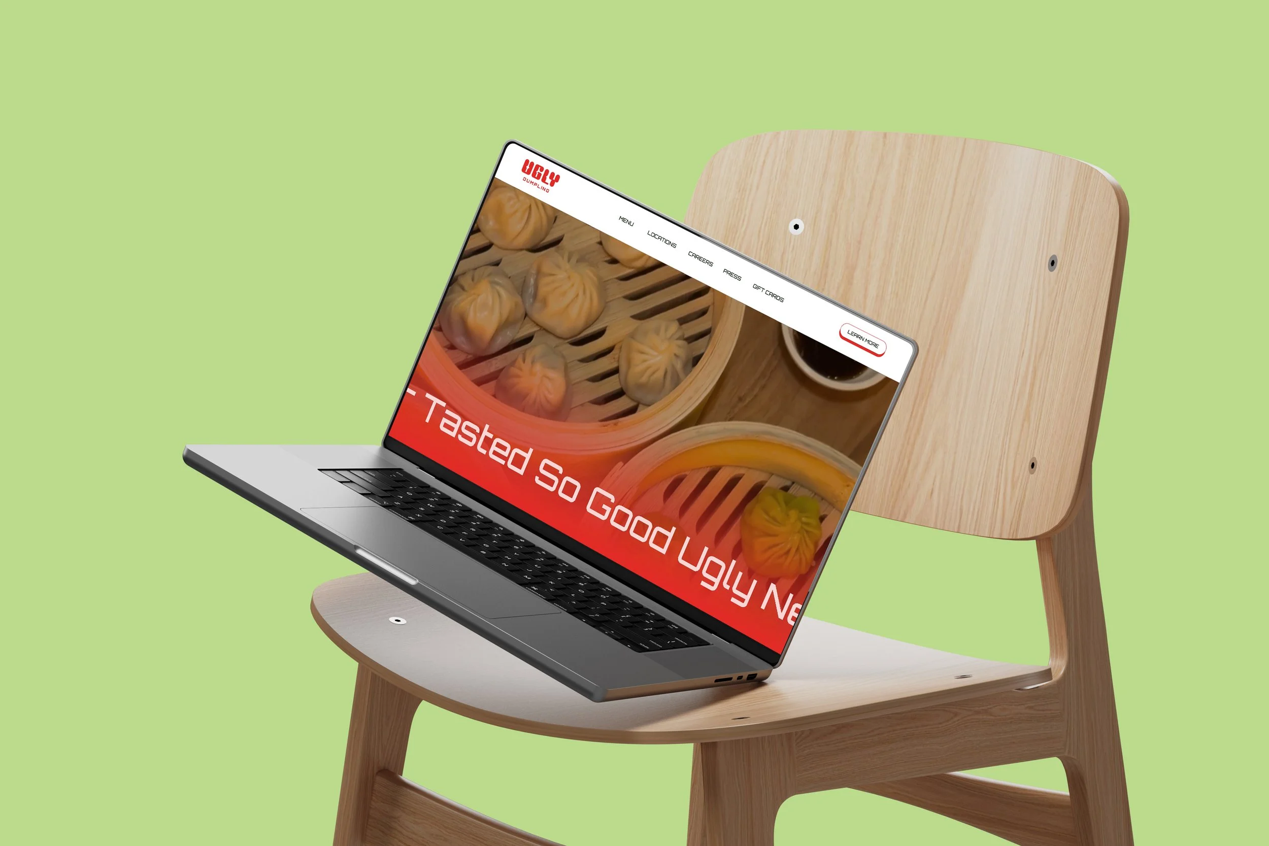 Ugly Laptop2 copy.jpg