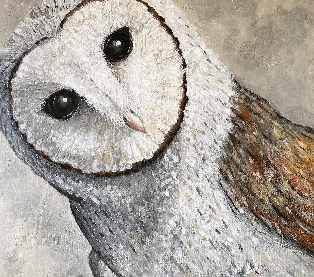 Have you seen my owl painting in the shop window at Make It Tenterfield? 
&lsquo;See Me&rsquo;  90 x 90cm  Acrylic on canvas. Now available for purchase. Drop into Make It and check it out in person. #tenterfieldshowwinner #figurativewinner