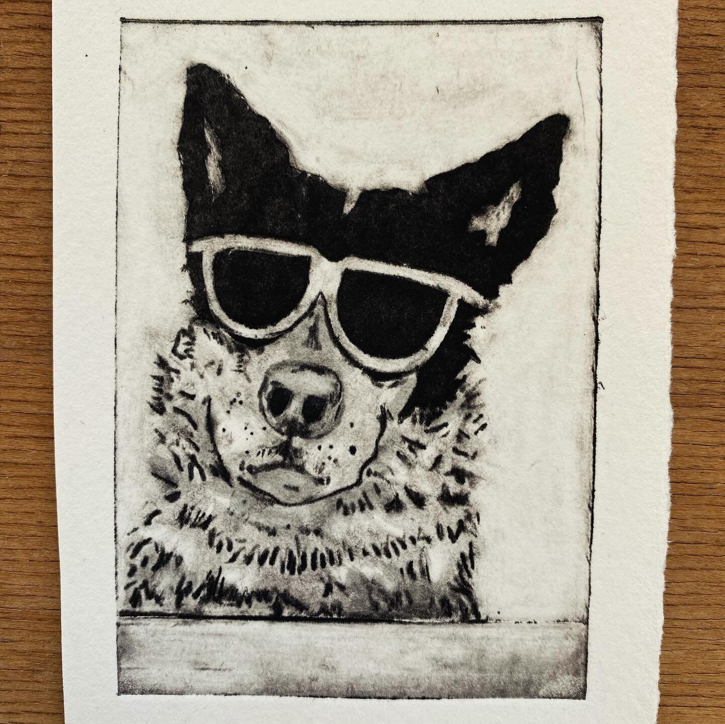 ❤️ more etching fun! 
I remember one Australia Day we put sunglasses on a very young Heidi the Kelpie. She was pretty funny trying to work it out. I can just imagine the same expression on this guy behind those frames! 
#tetrapaketching #tetrapackpri