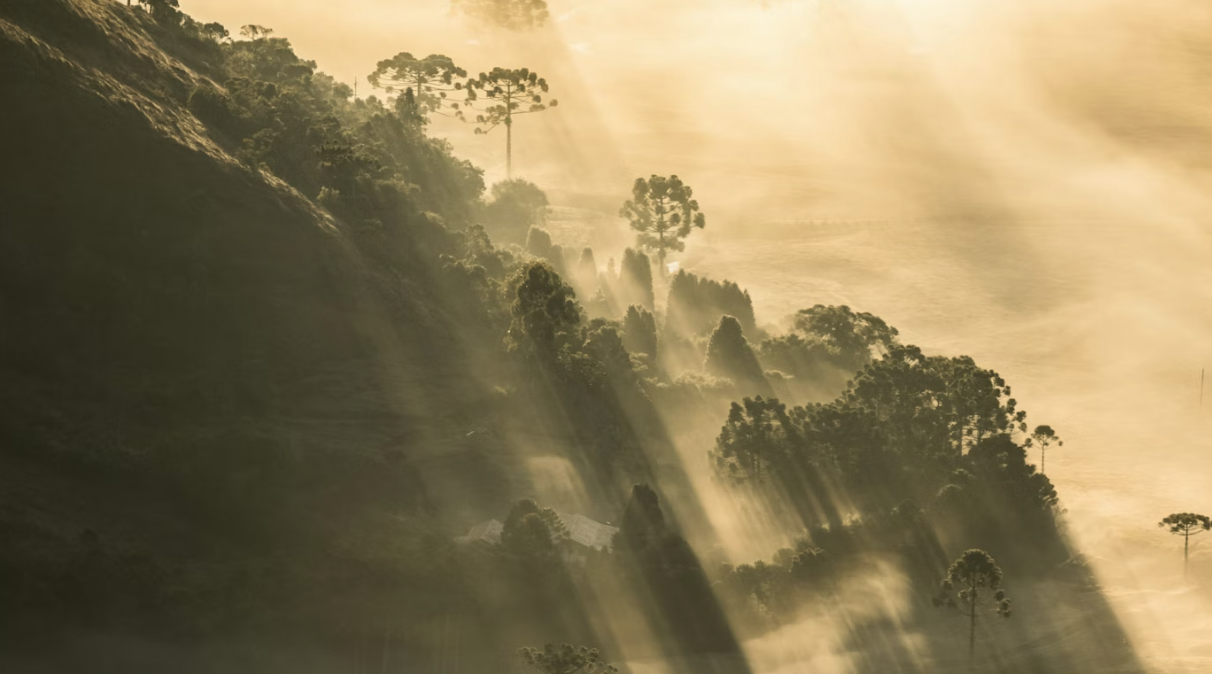The Emotional Landscape — ANGEL AID The Emotional Landscape — ANGEL AID