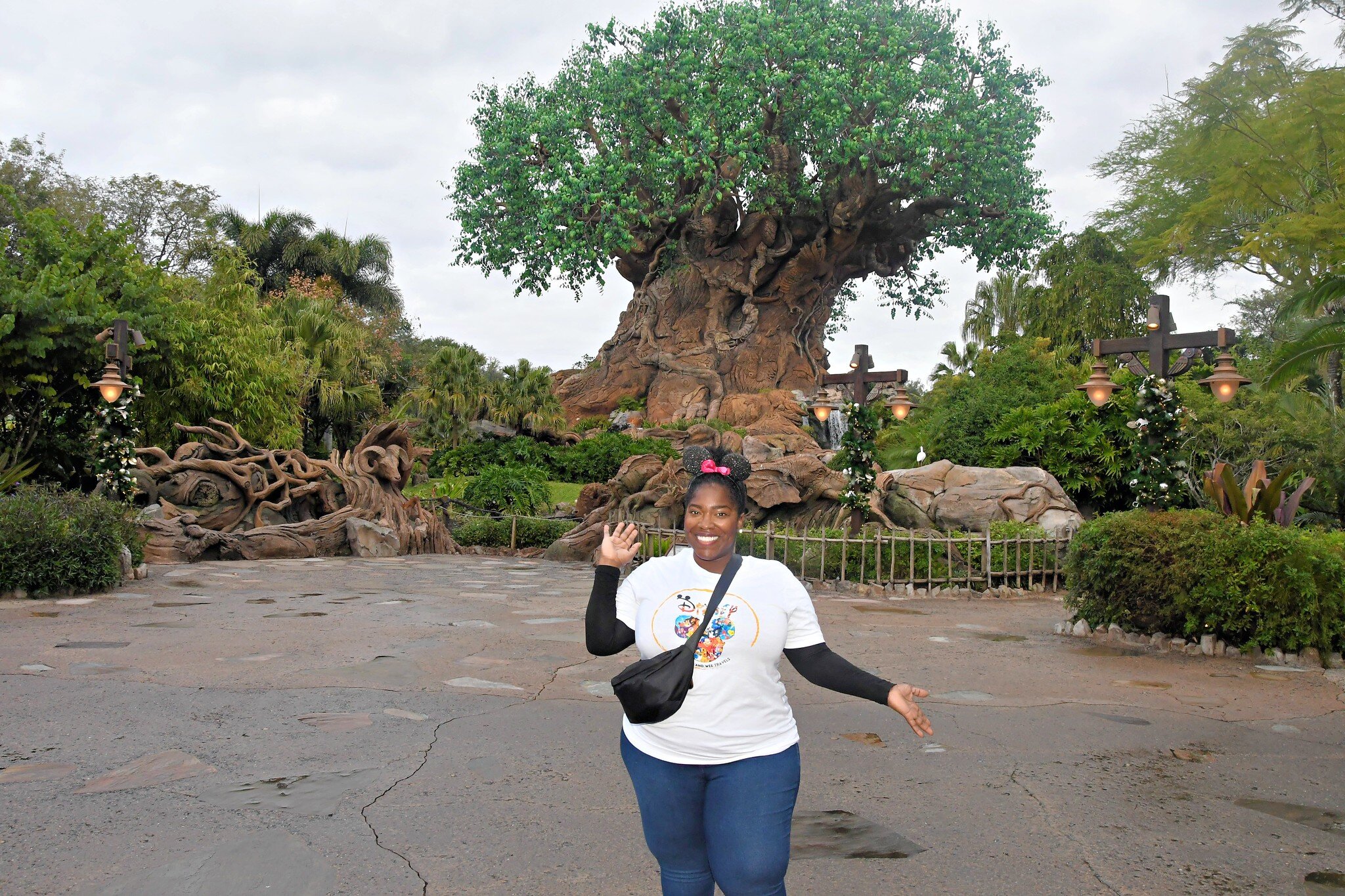 2023-12-22 - Disneys Animal Kingdom Park - The tree of life_38