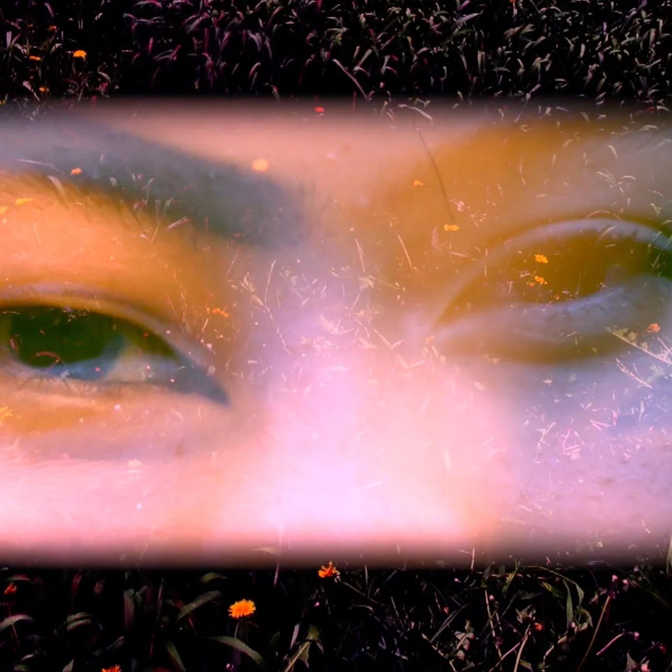 Screen Shot 2023-08-30 at 7.54.23 PM.jpg