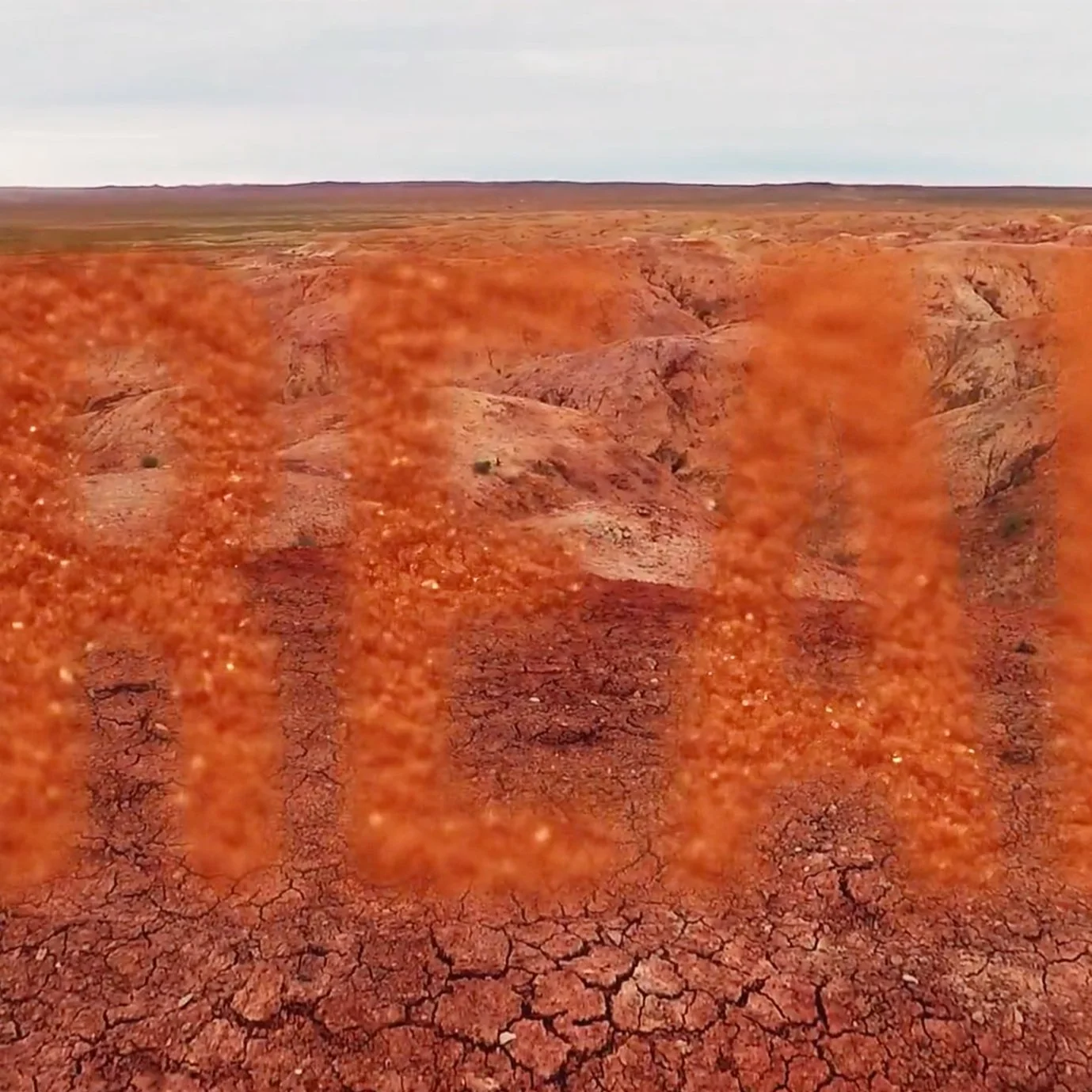 Screen Shot 2023-08-30 at 7.58.05 PM.jpg