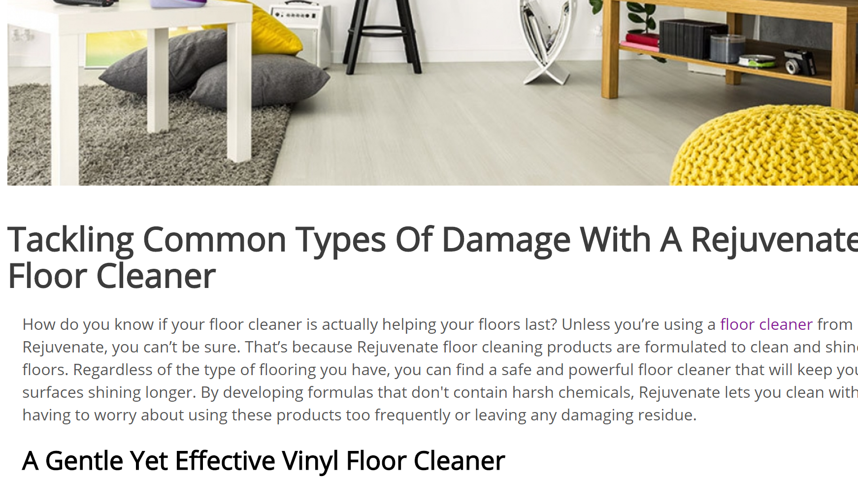 Tackling Common Types Of Damage With A Rejuvenate Floor Cleaner