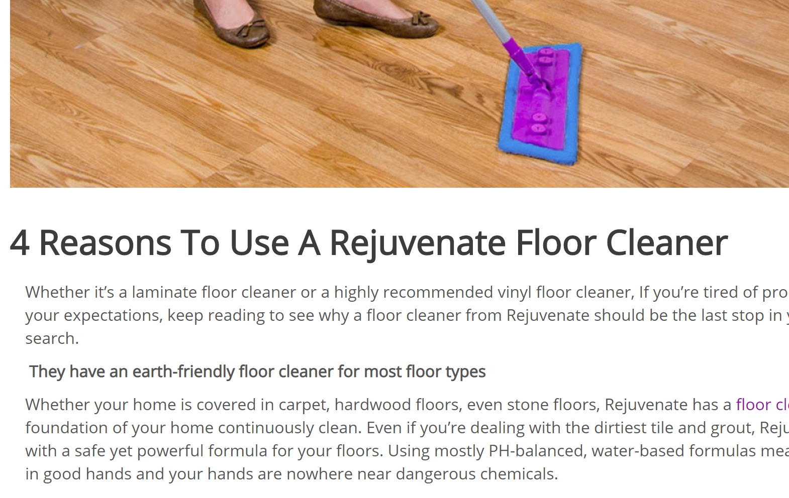 rejuvenate floor cleaner.PNG