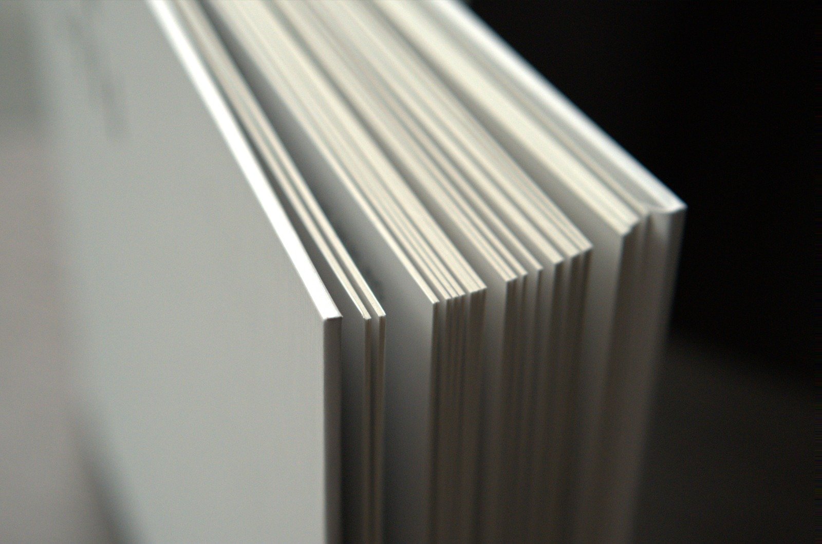 WhatsApp Image 2025-11-05 at 4.04.26 PM (1) - Copy.jpeg