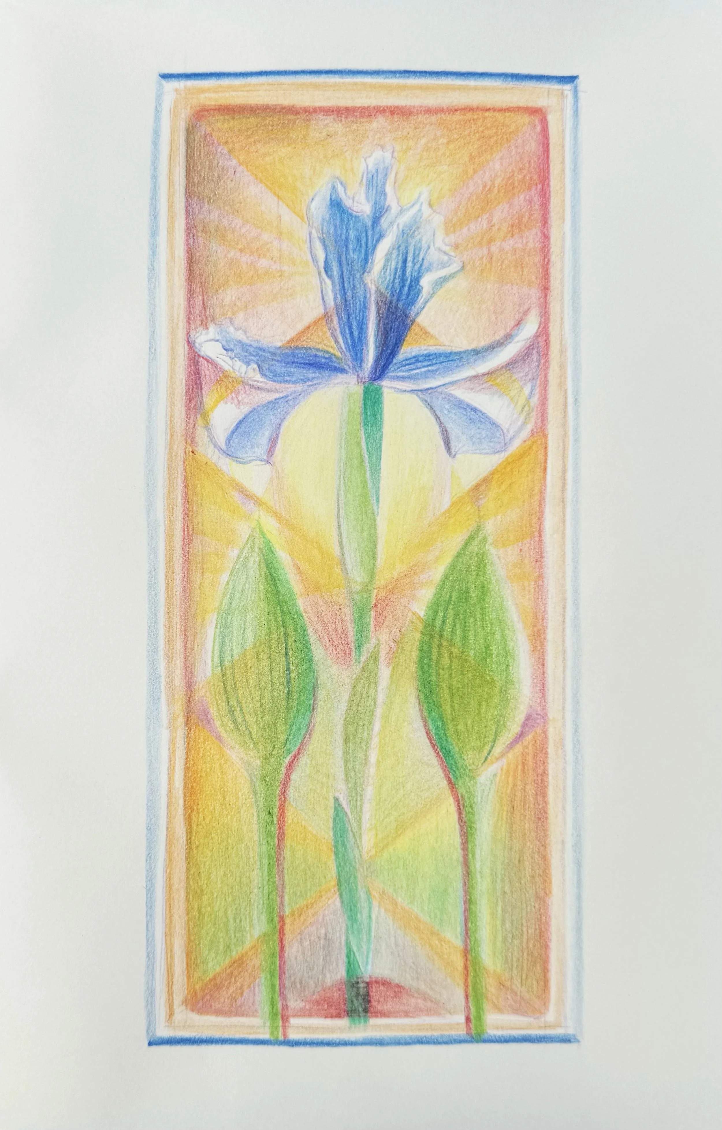 2025 MEMBERS' EXHIBIT