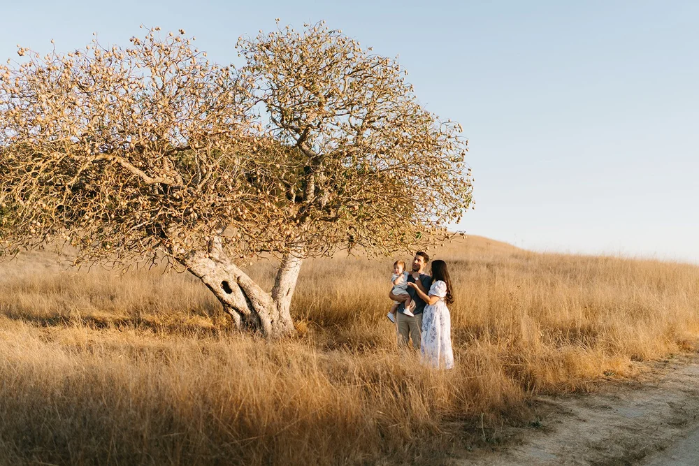 Fun Family Photoshoot in Novato, CA