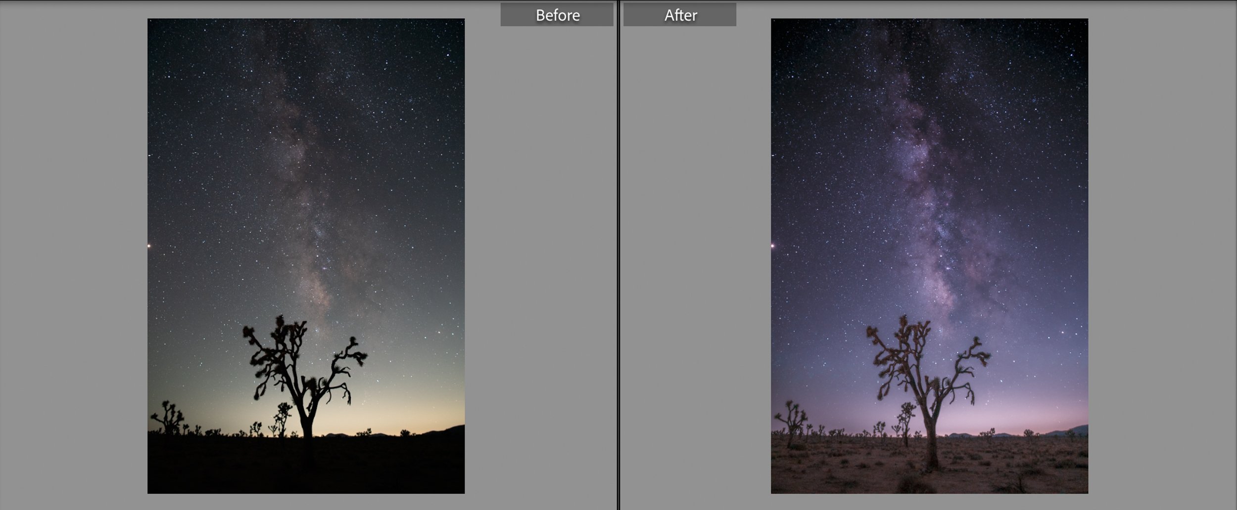 Screenshot 2024-01-19 at 11.47.13 AM.jpg