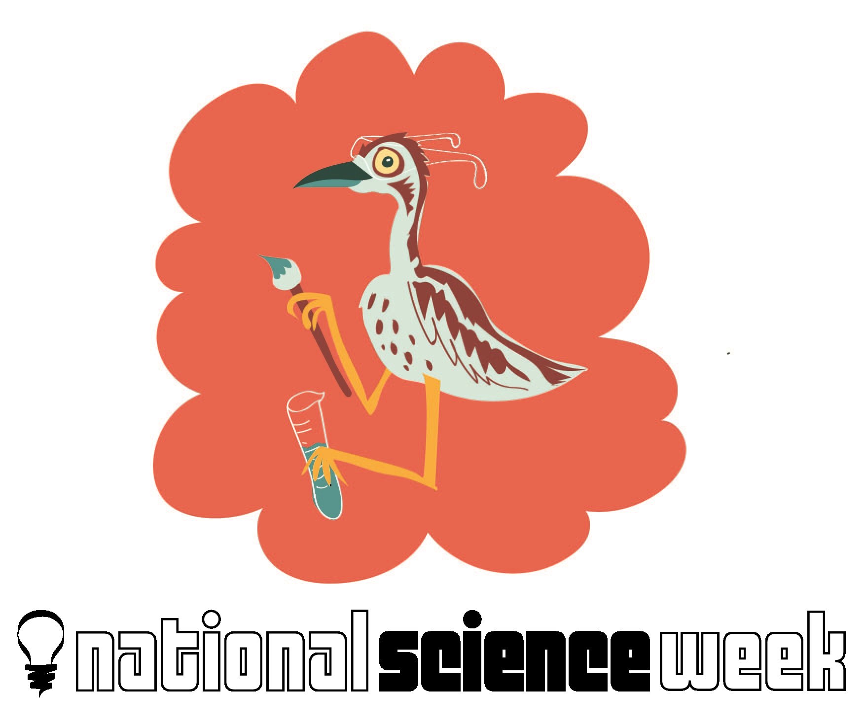 Science week Curlew.jpg