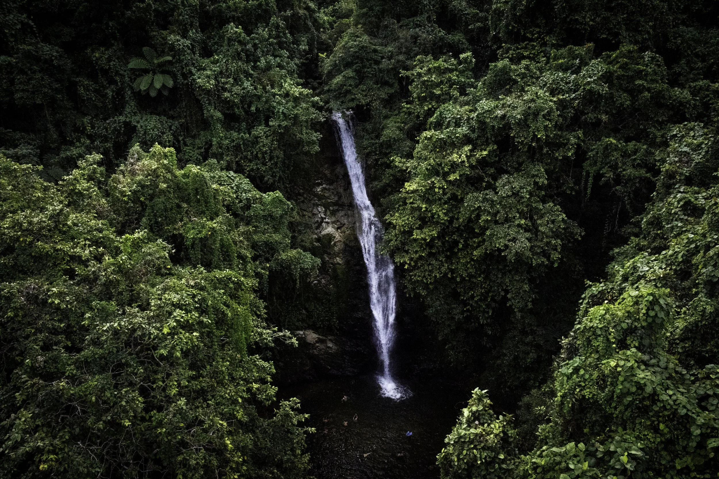 Biausevu Waterfall.jpg