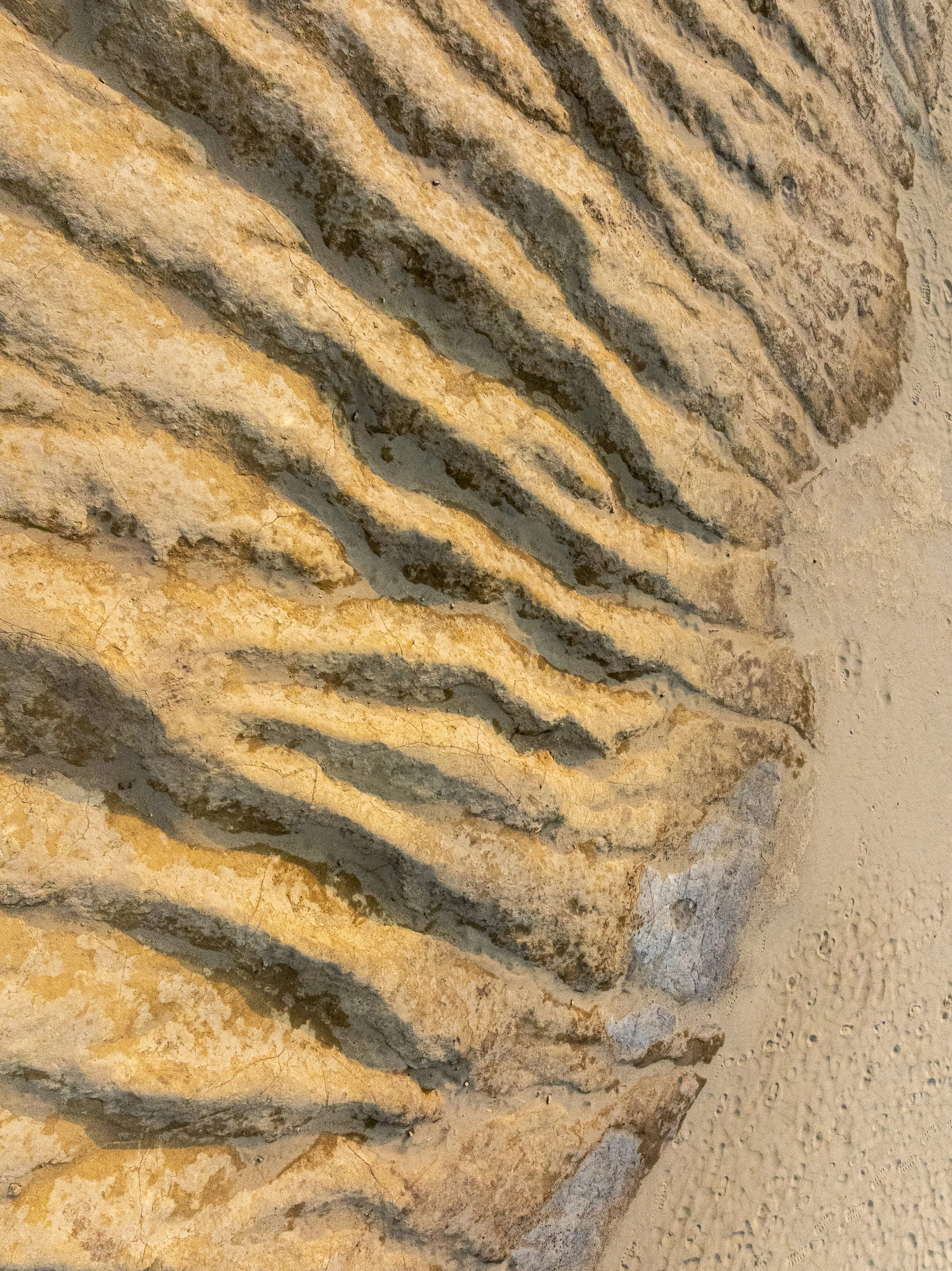 DJI_20260802201958_0202_D.jpg