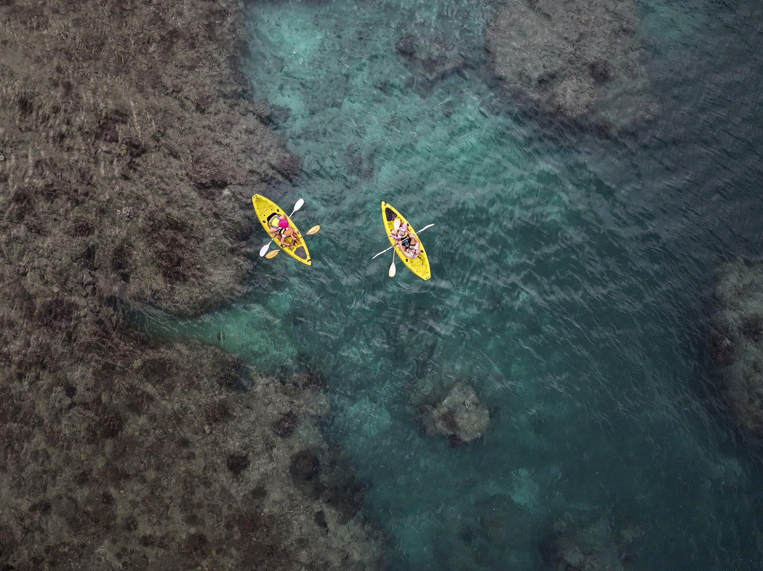 Malamala Canoes.jpg