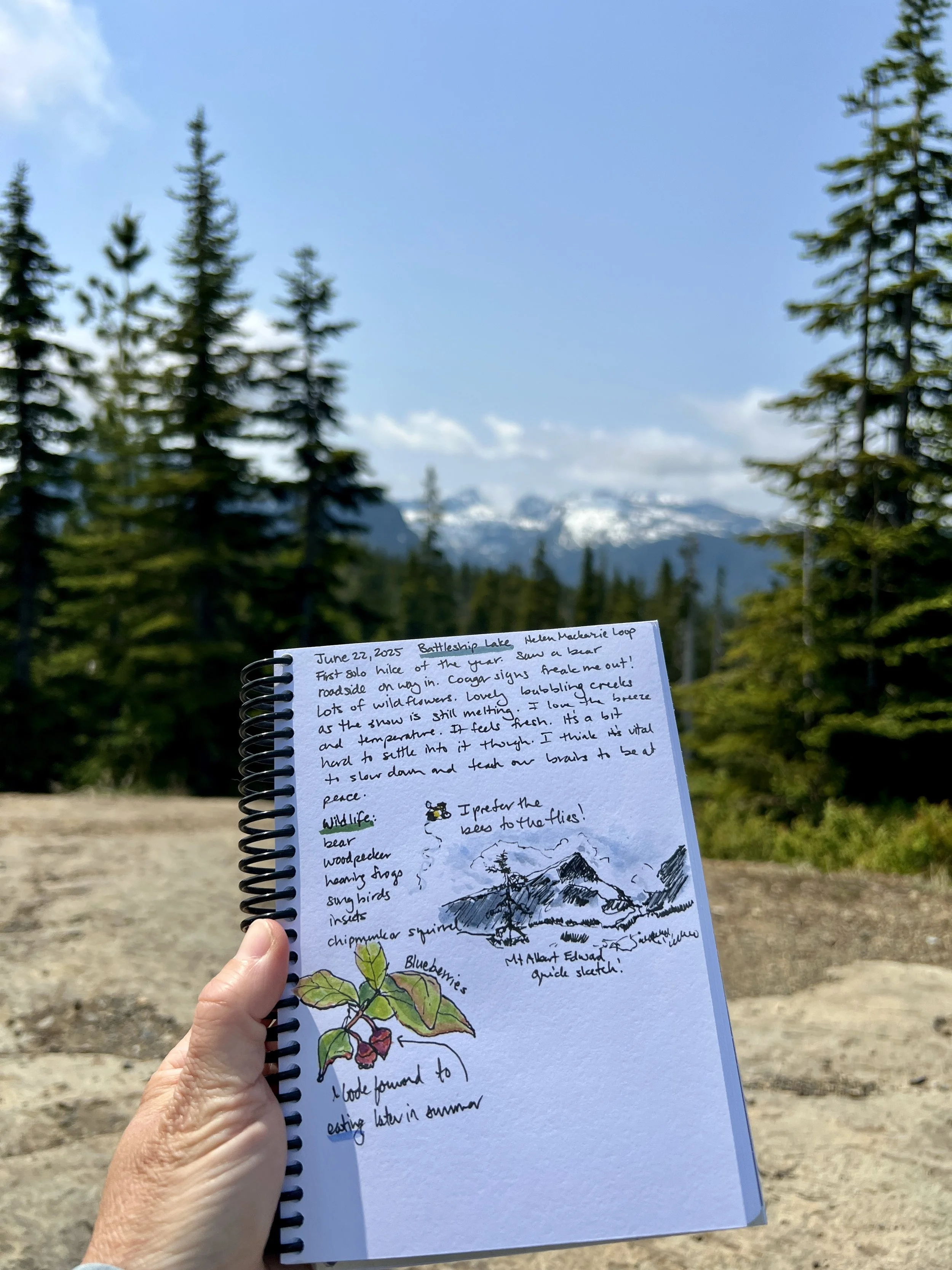 Nature journaling in Strathcona Provincial Park