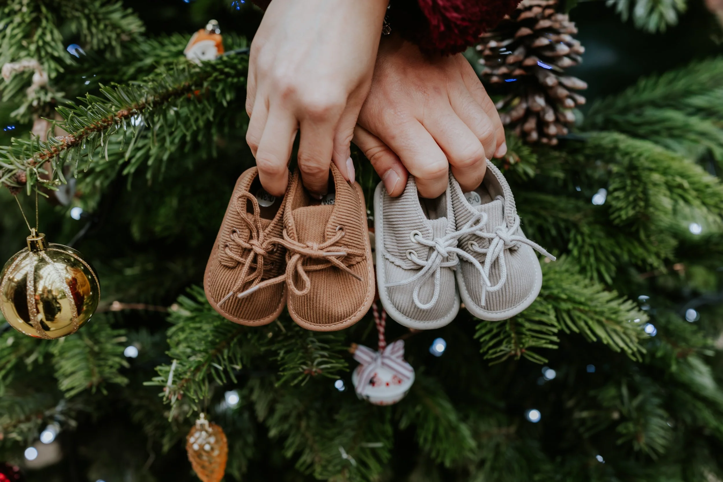 eqsphotography (29).jpg