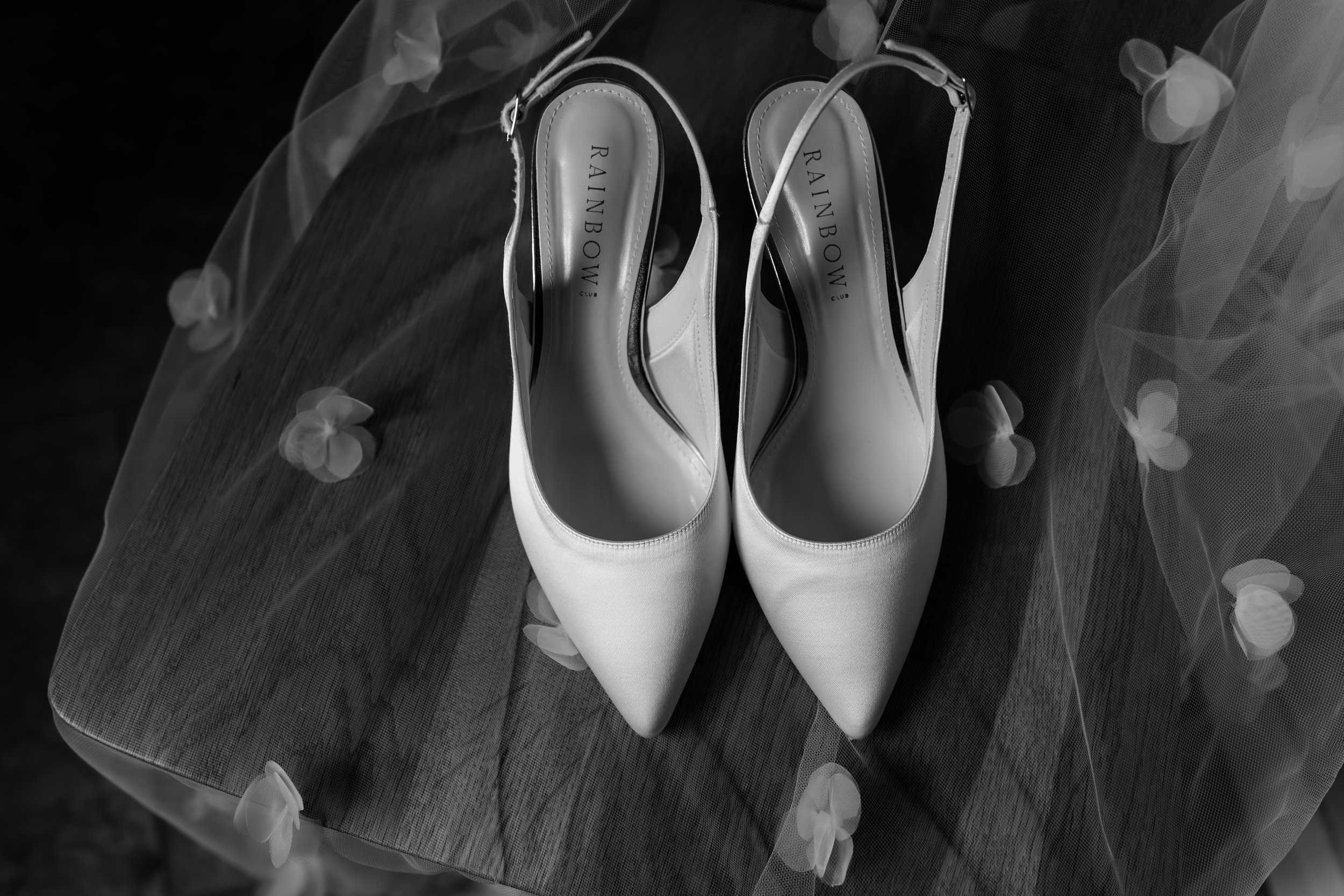 eqsphotography (36).jpg