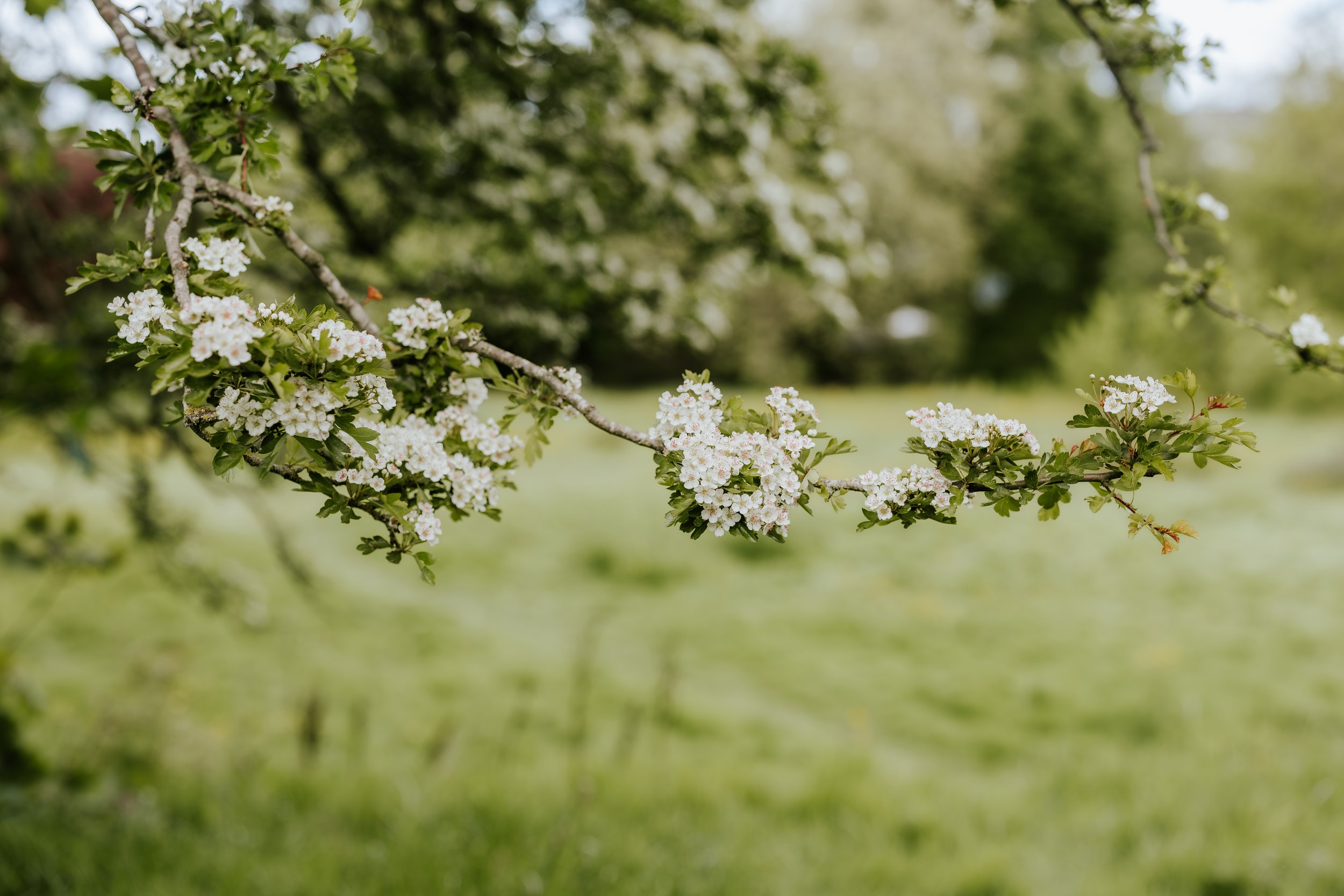 eqsphotography (69).jpg