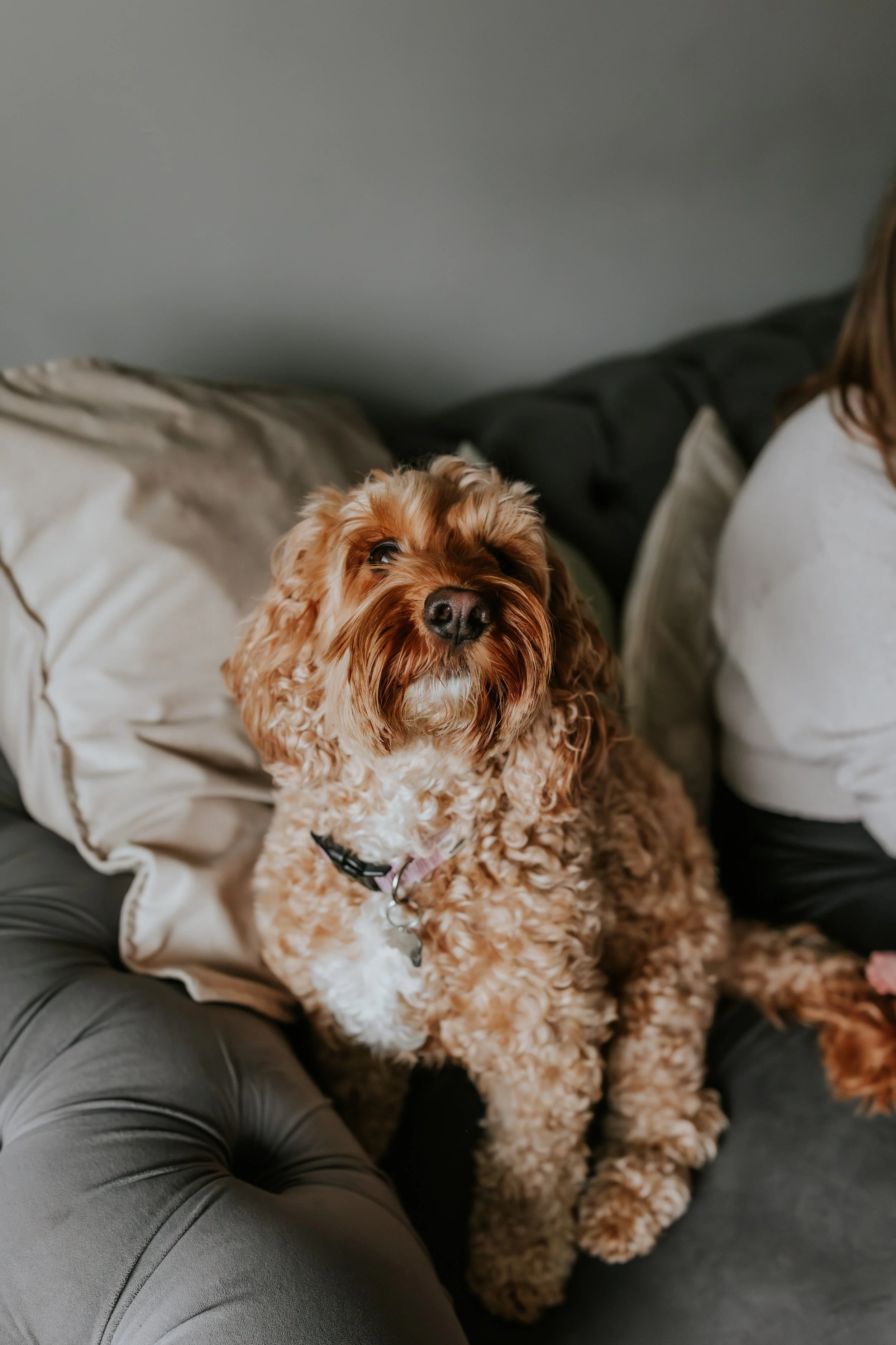 eqsphotography (155).jpg