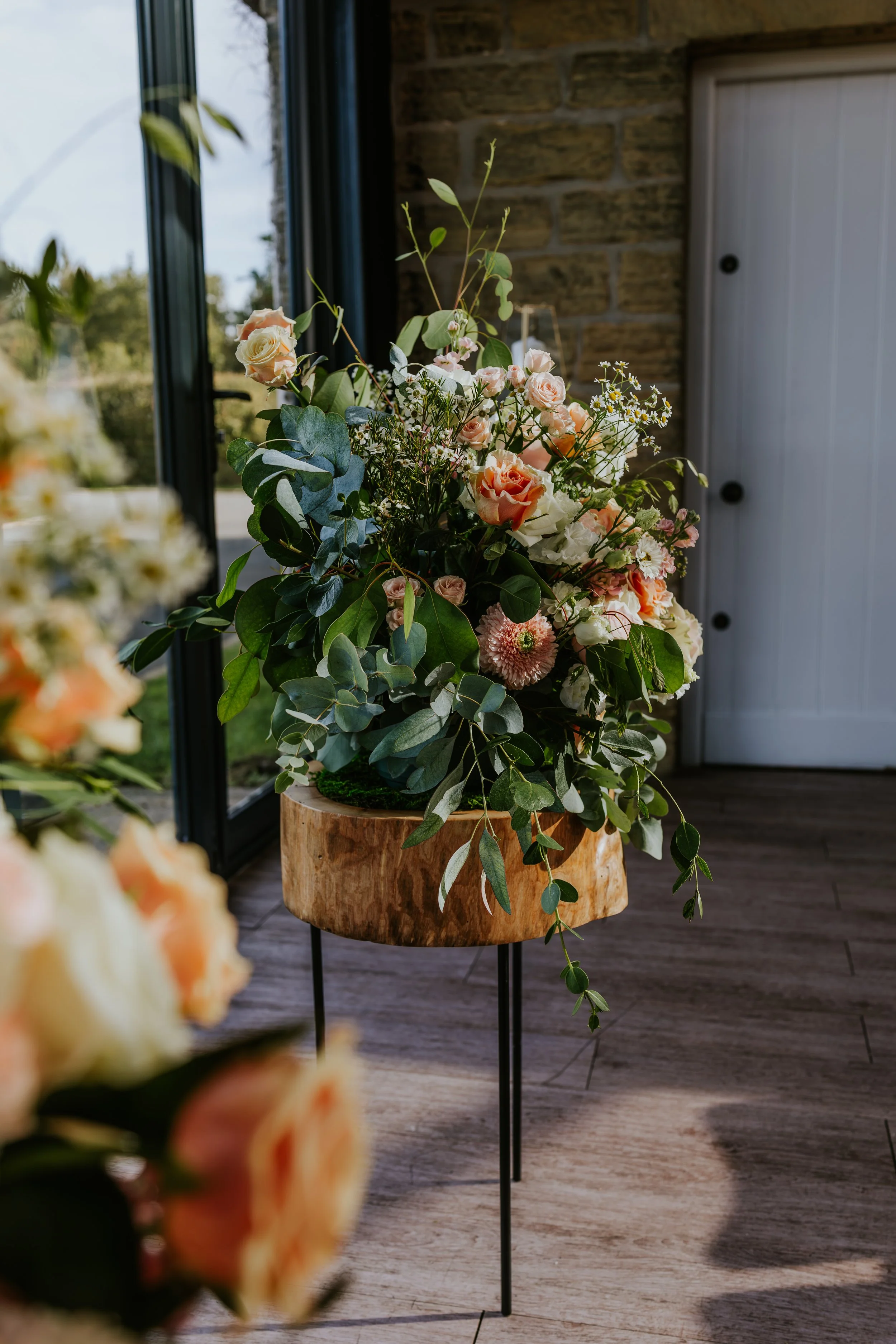 eqsphotography (225).jpg