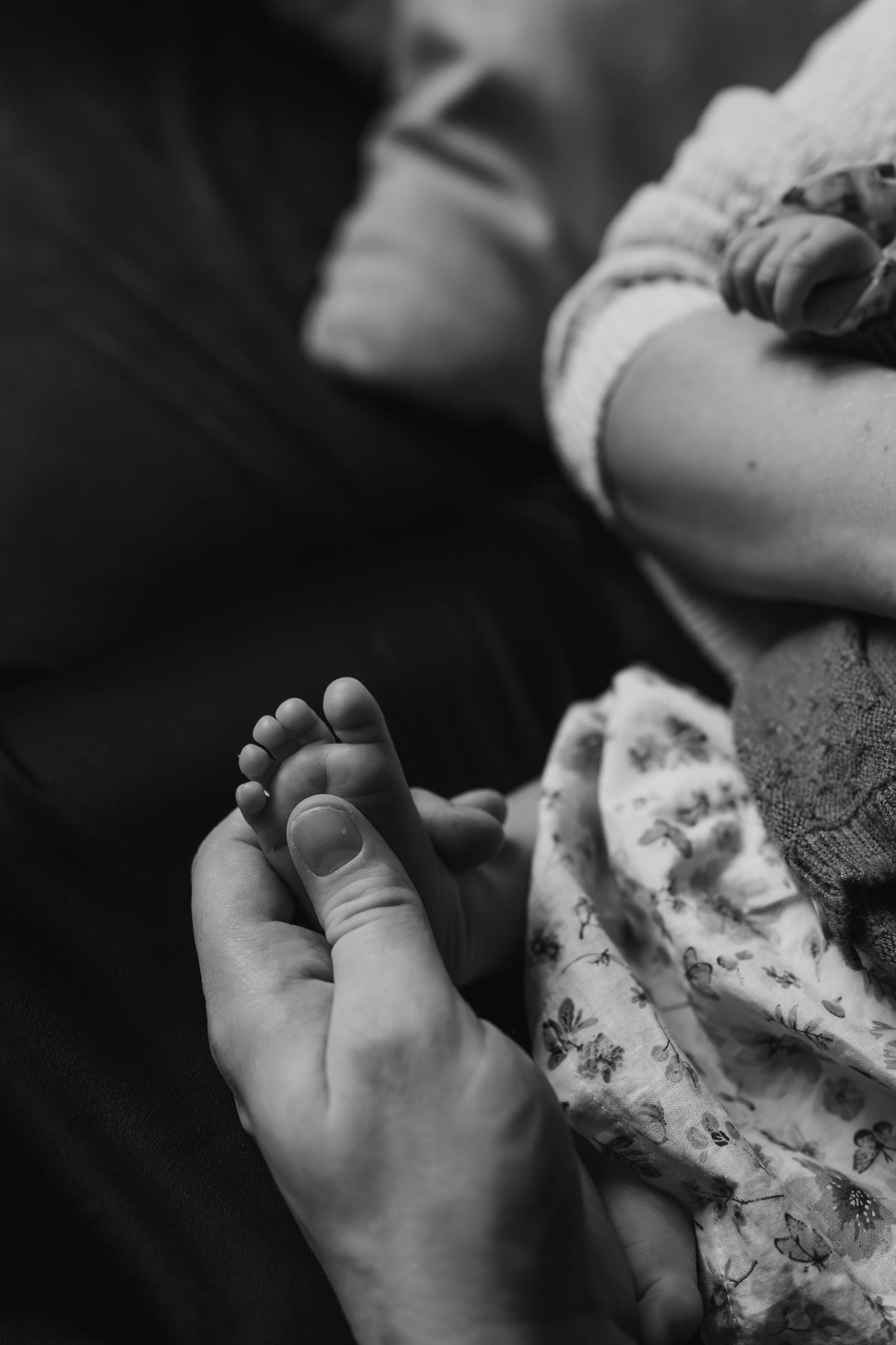 eqsphotography (147).jpg