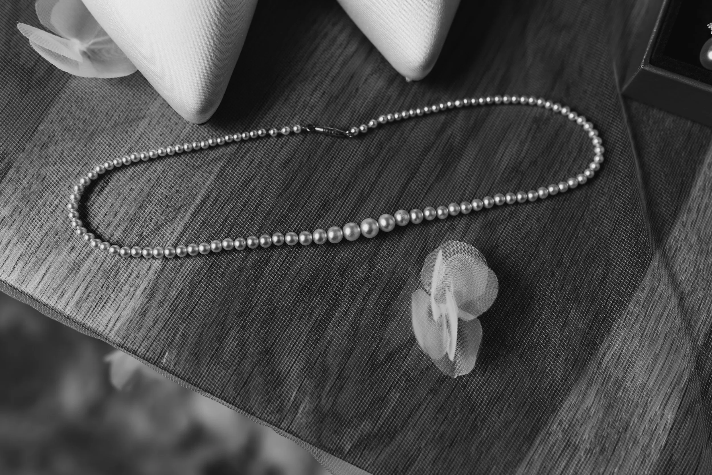 eqsphotography (41).jpg