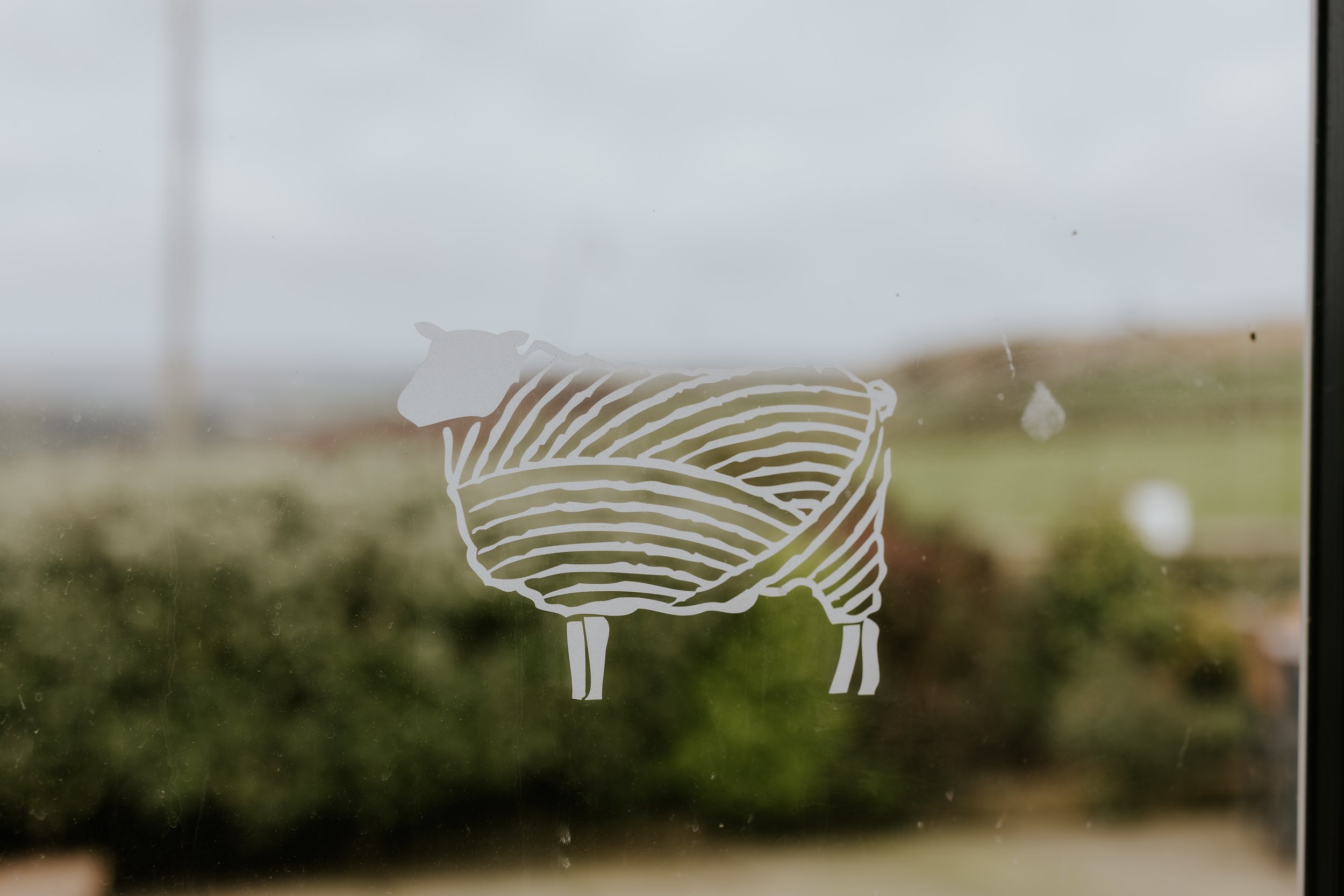 eqsphotography (31).jpg