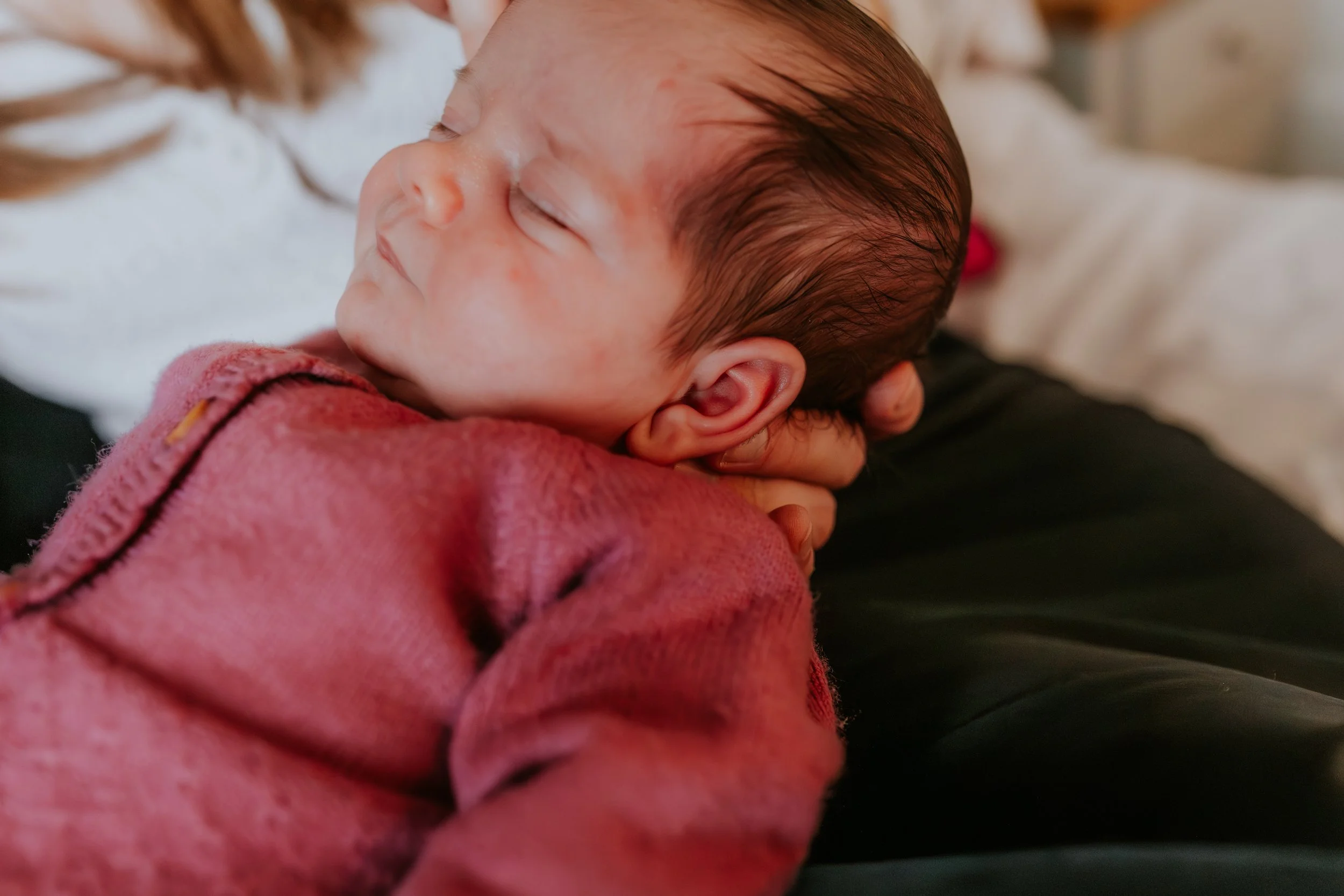 eqsphotography (113).jpg