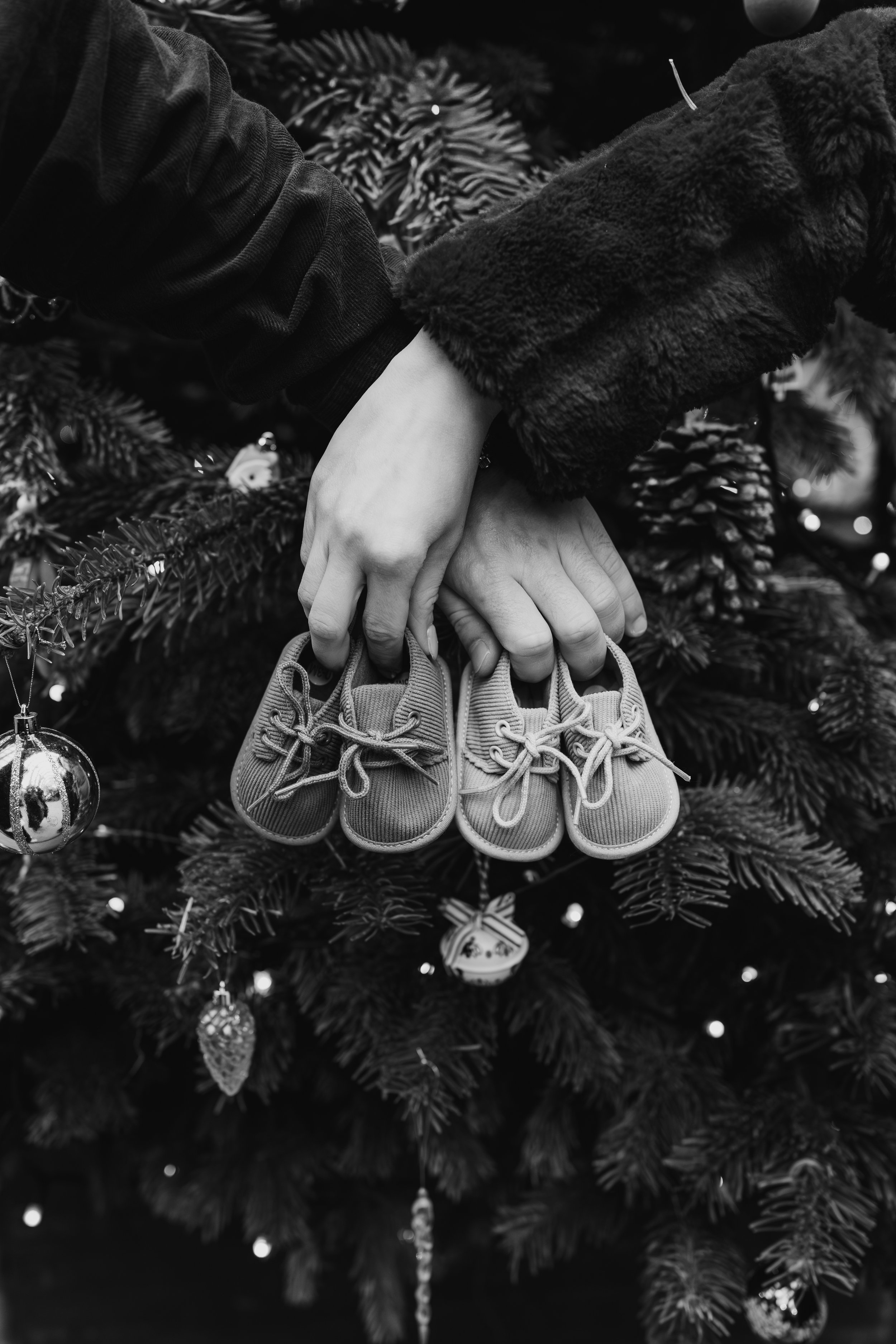 eqsphotography (31).jpg