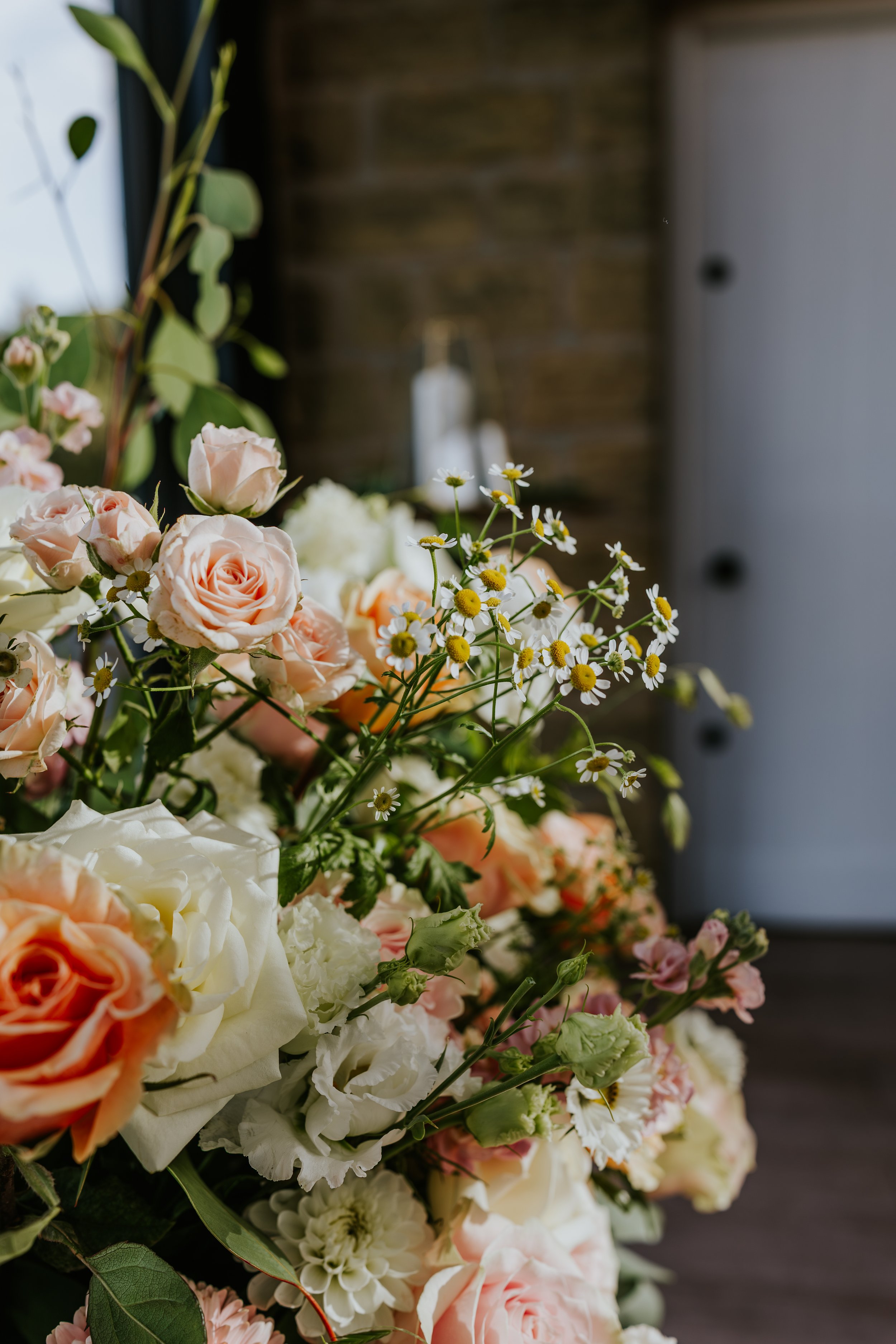eqsphotography (227).jpg