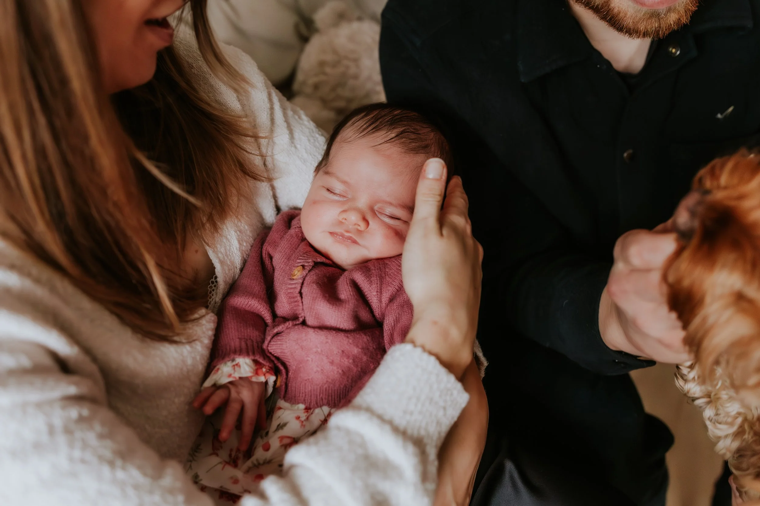 eqsphotography (78).jpg