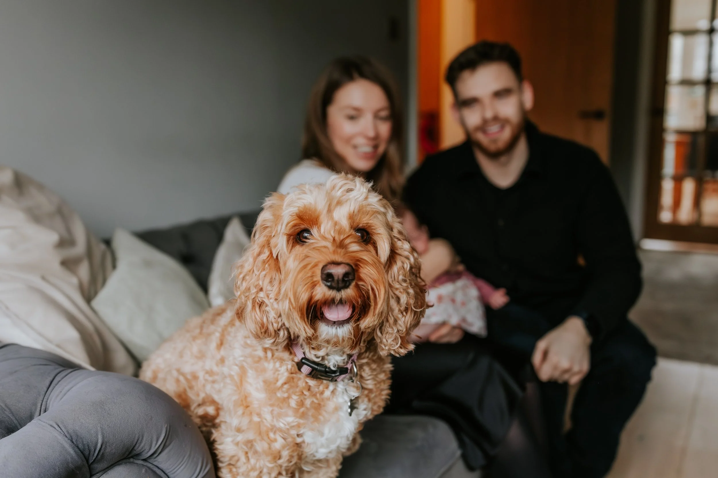 eqsphotography (154).jpg