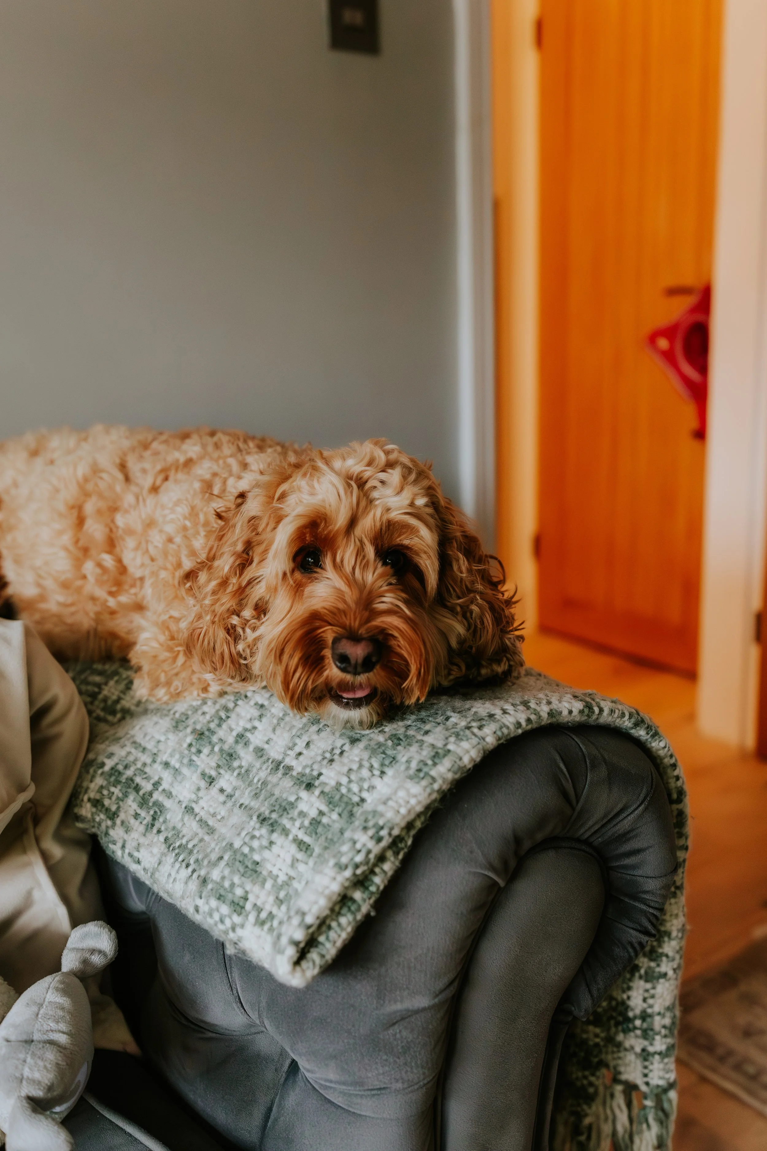 eqsphotography (46).jpg