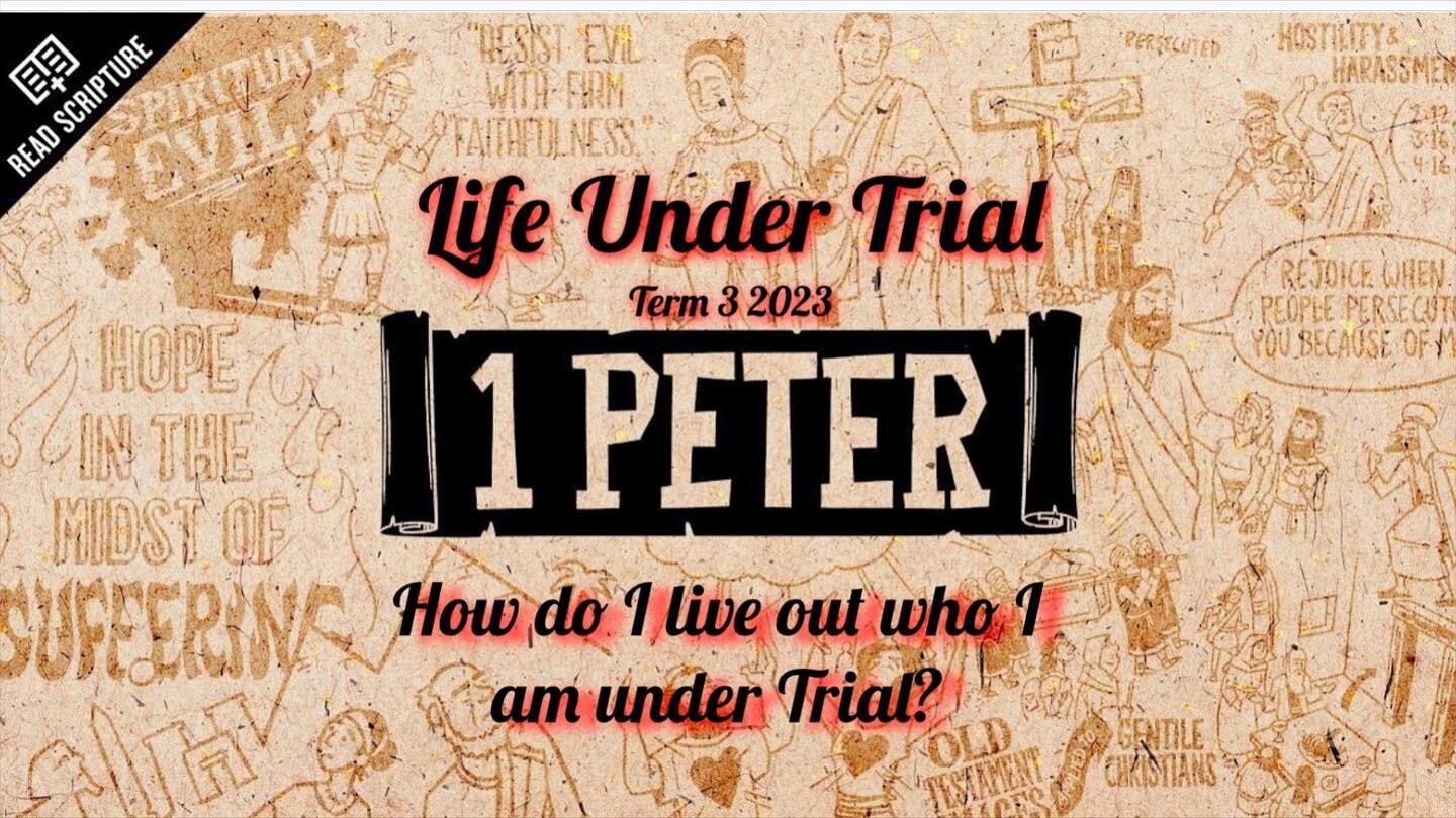 Misfits is back for term 3 starting this Friday at church ! Dinner at 6.30pm, games and bible from 7pm-9pm. 

In term 3 we&rsquo;ll be asking how do we live out who we are under trial? Reading and learning from the letter of 1 Peter and his encourage