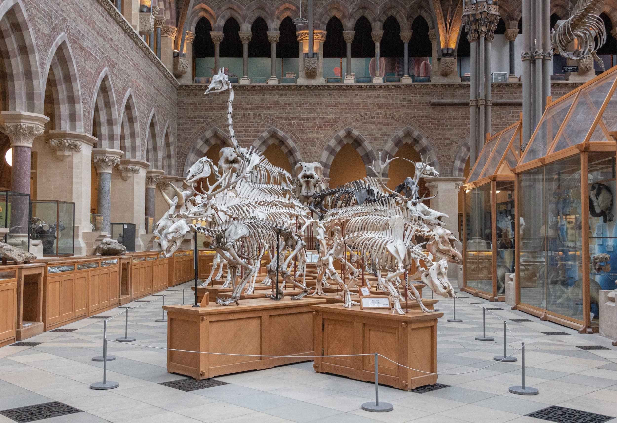 11 fun things to do with kids in London