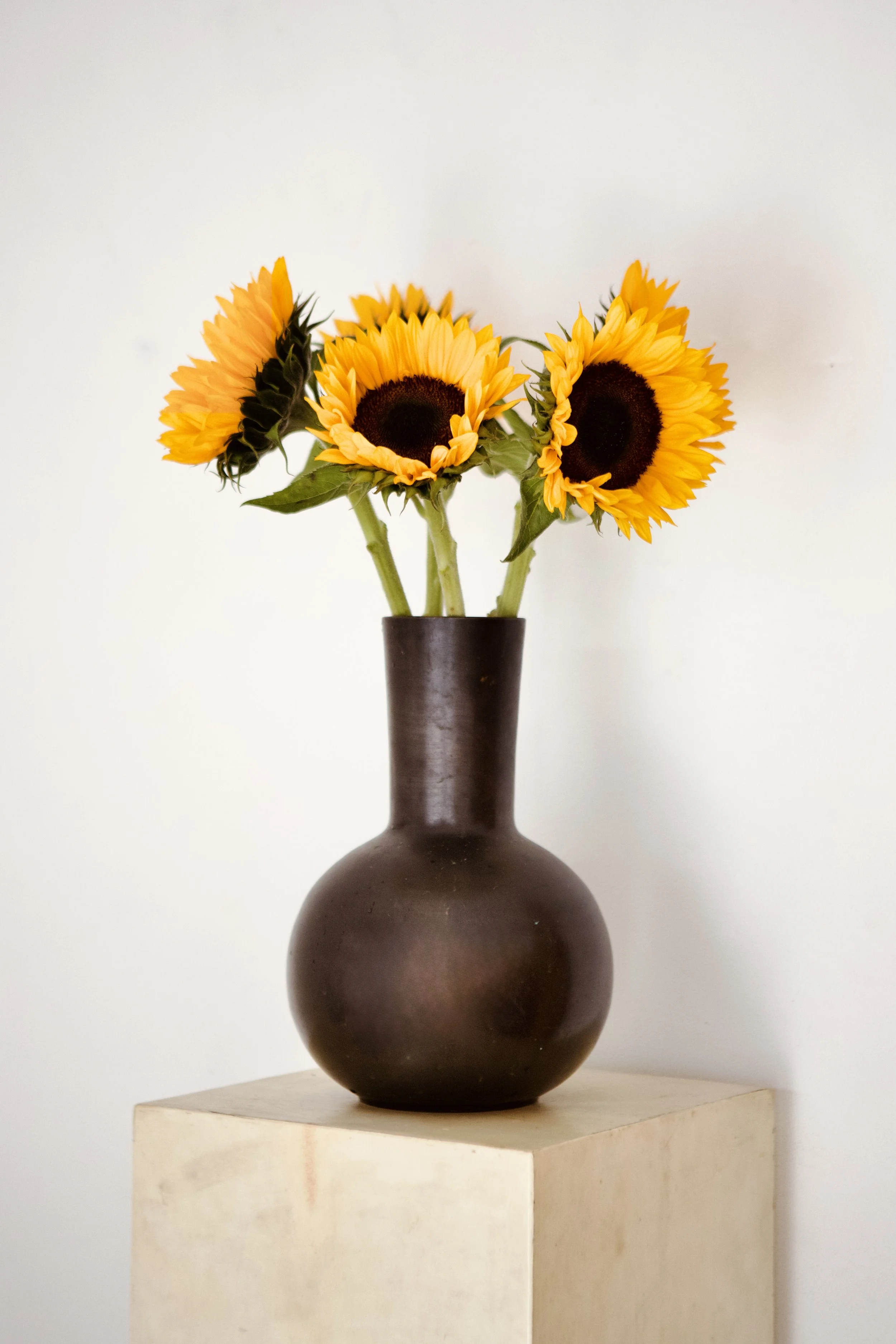 Bronze Vase