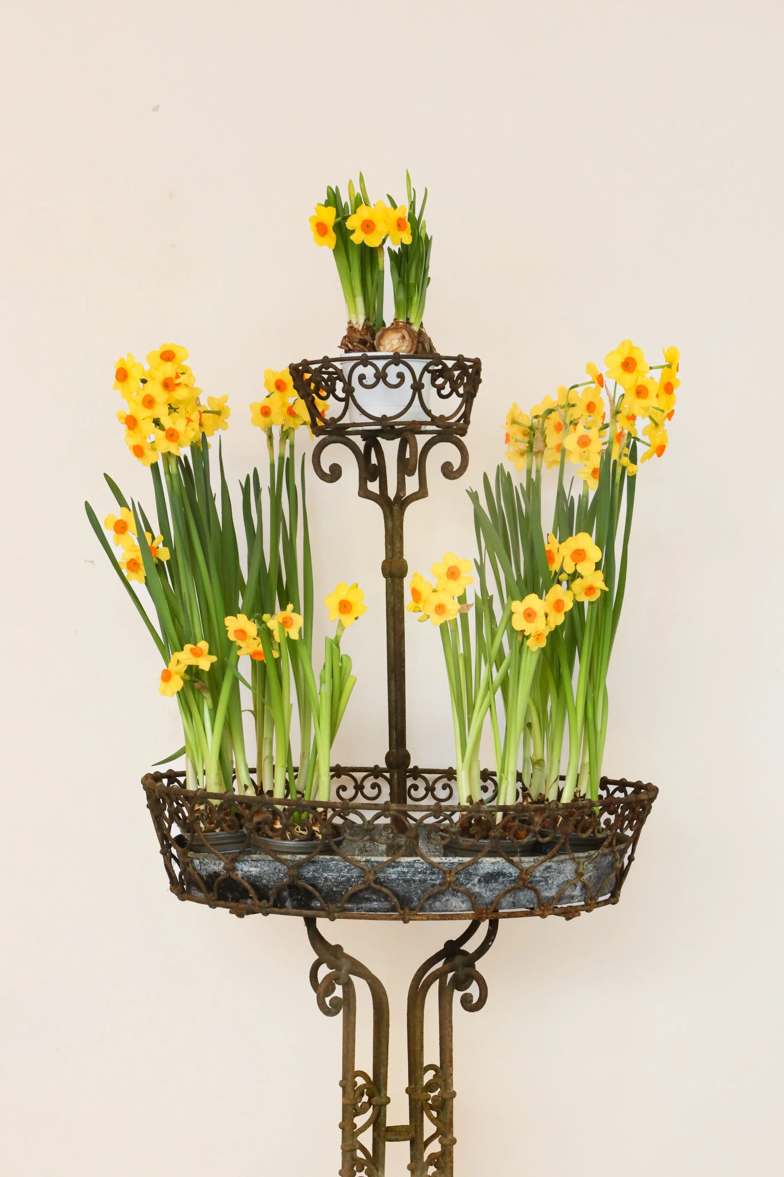 Conservatory Plant Stand