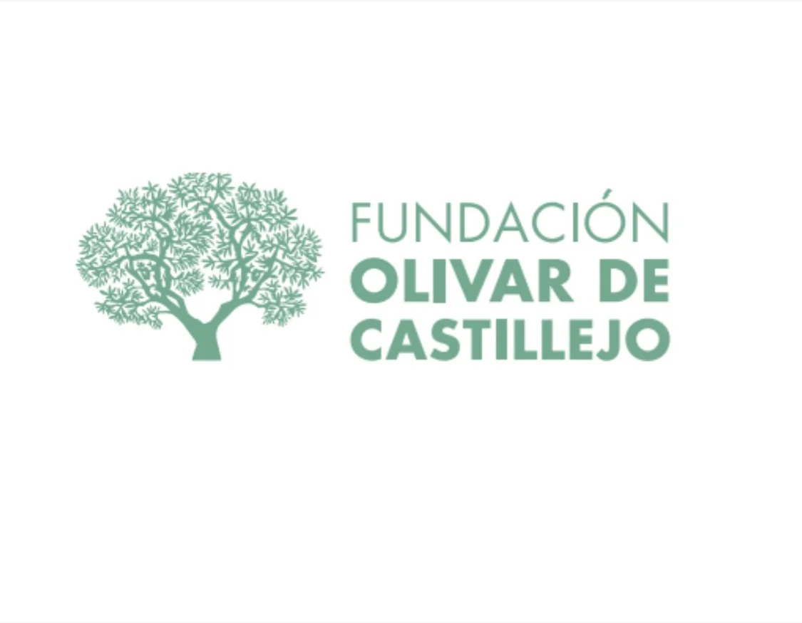 Concierto en la Fundación Olivar de Castillejo
