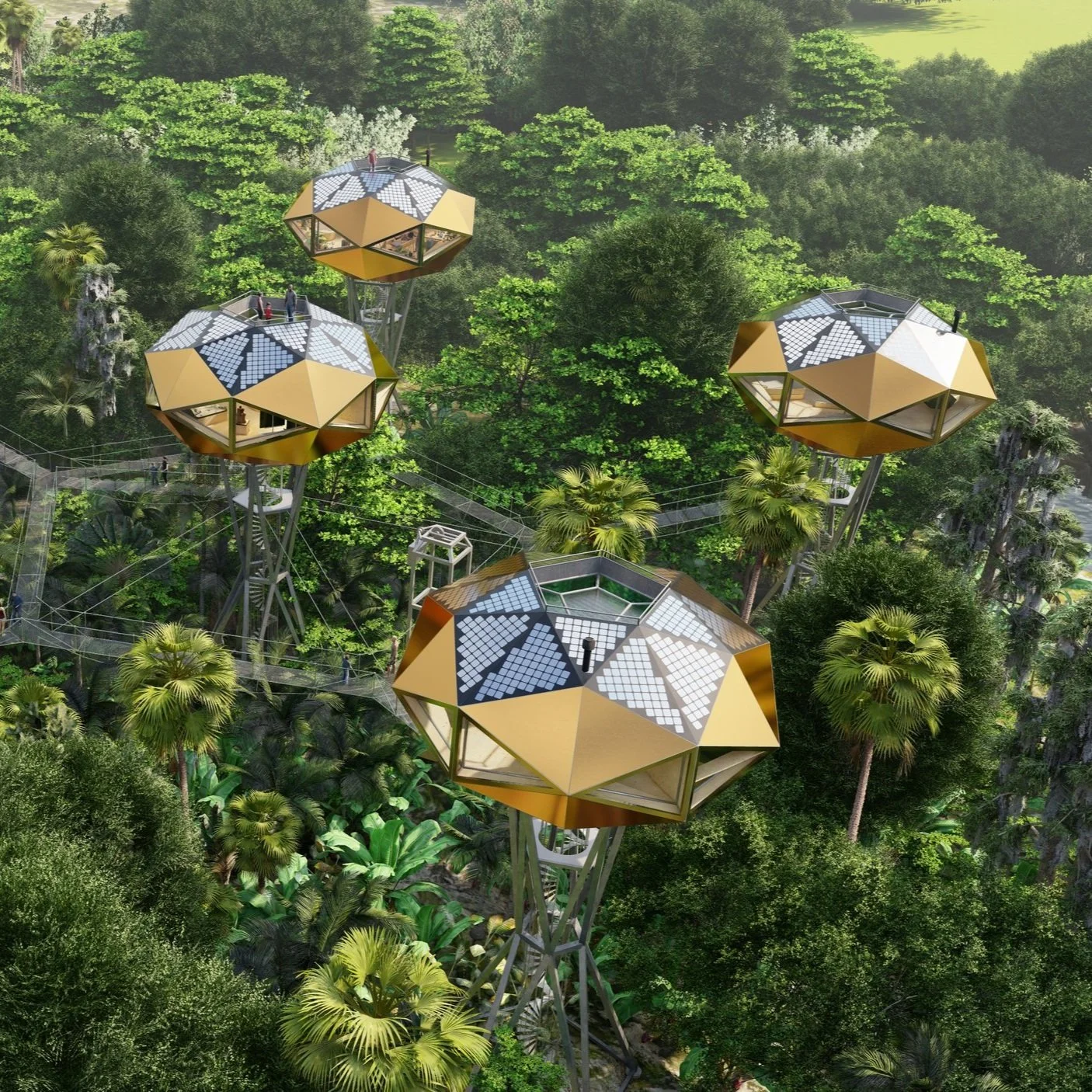 The Tree Canopy Ecovillage