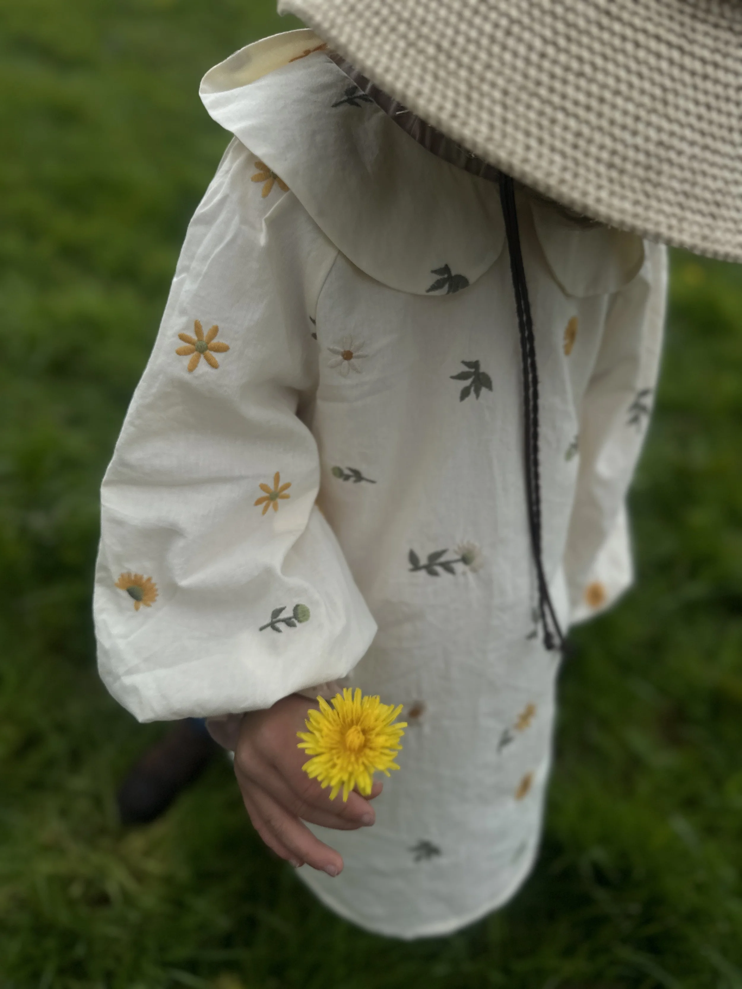 child wearing embroidered dandelion Peter Pan collar dress holding a dandelion on the grass, close up to embroidered flowers on the dress