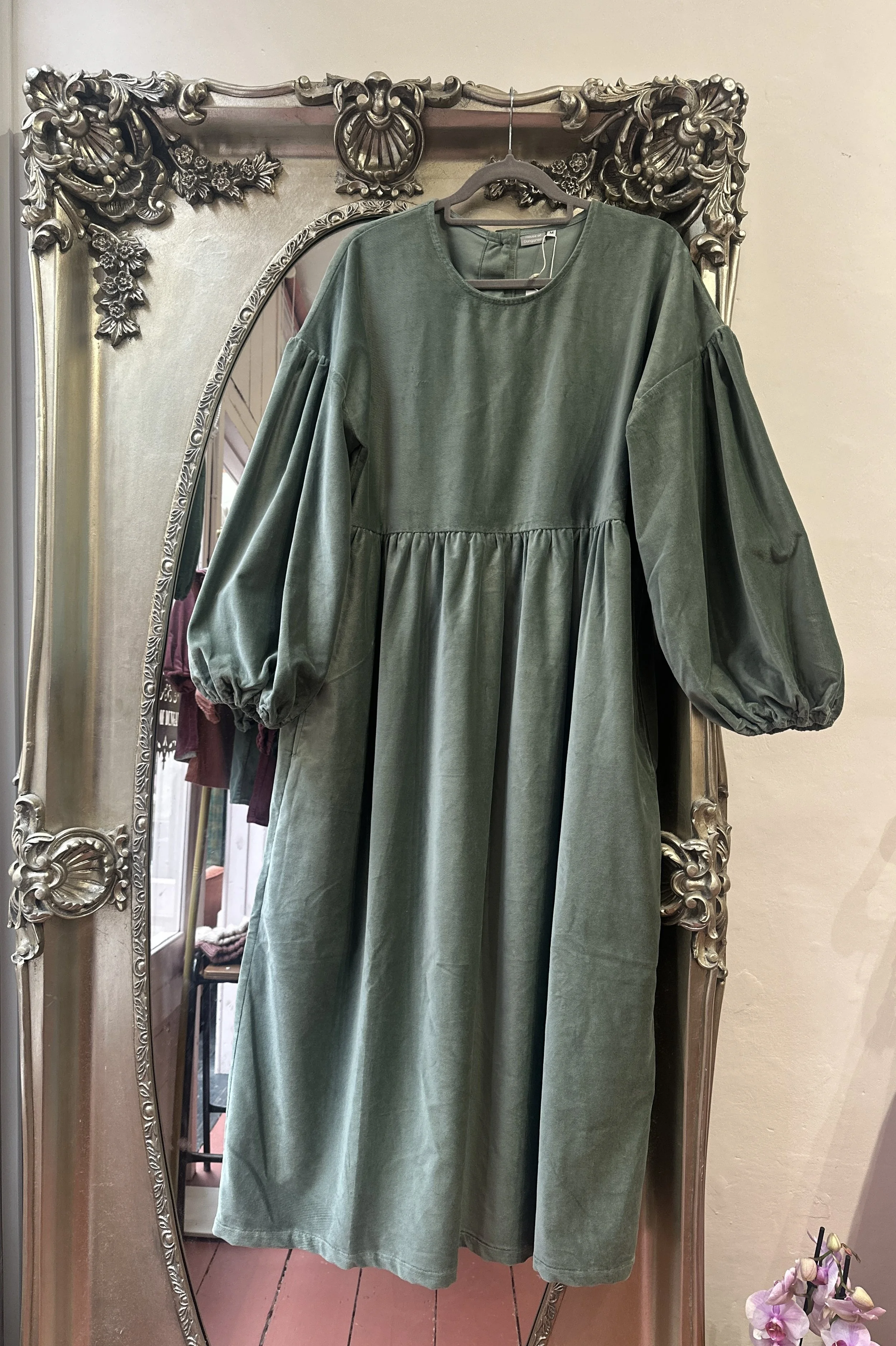 hanging Adult Duck Egg Green-Grey Velvet Maxi Dress