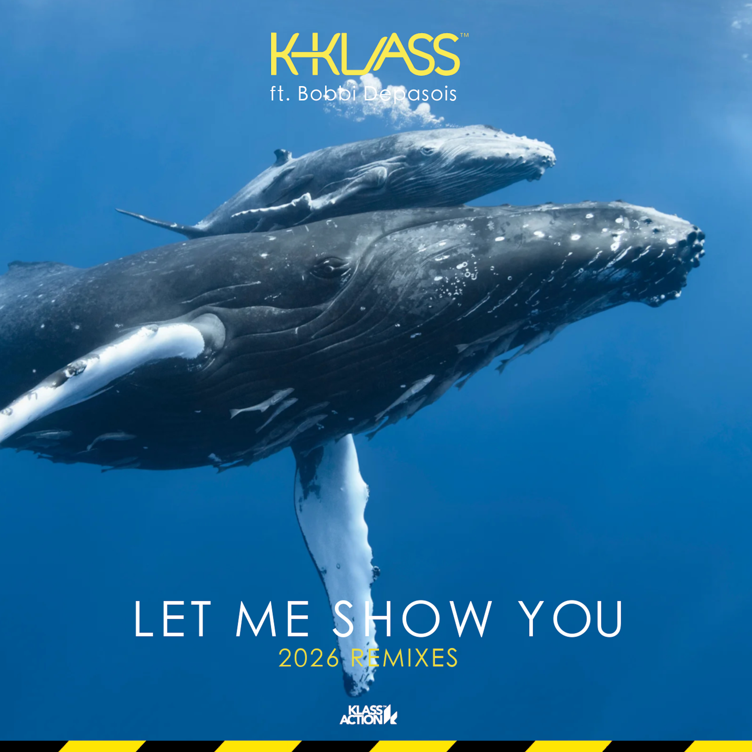 KLASS016-2(big).png