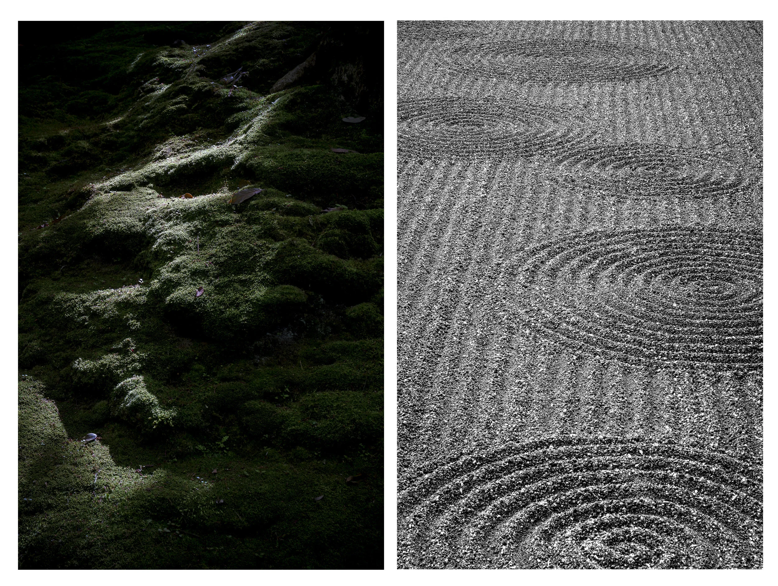 Diptyque 2.jpg