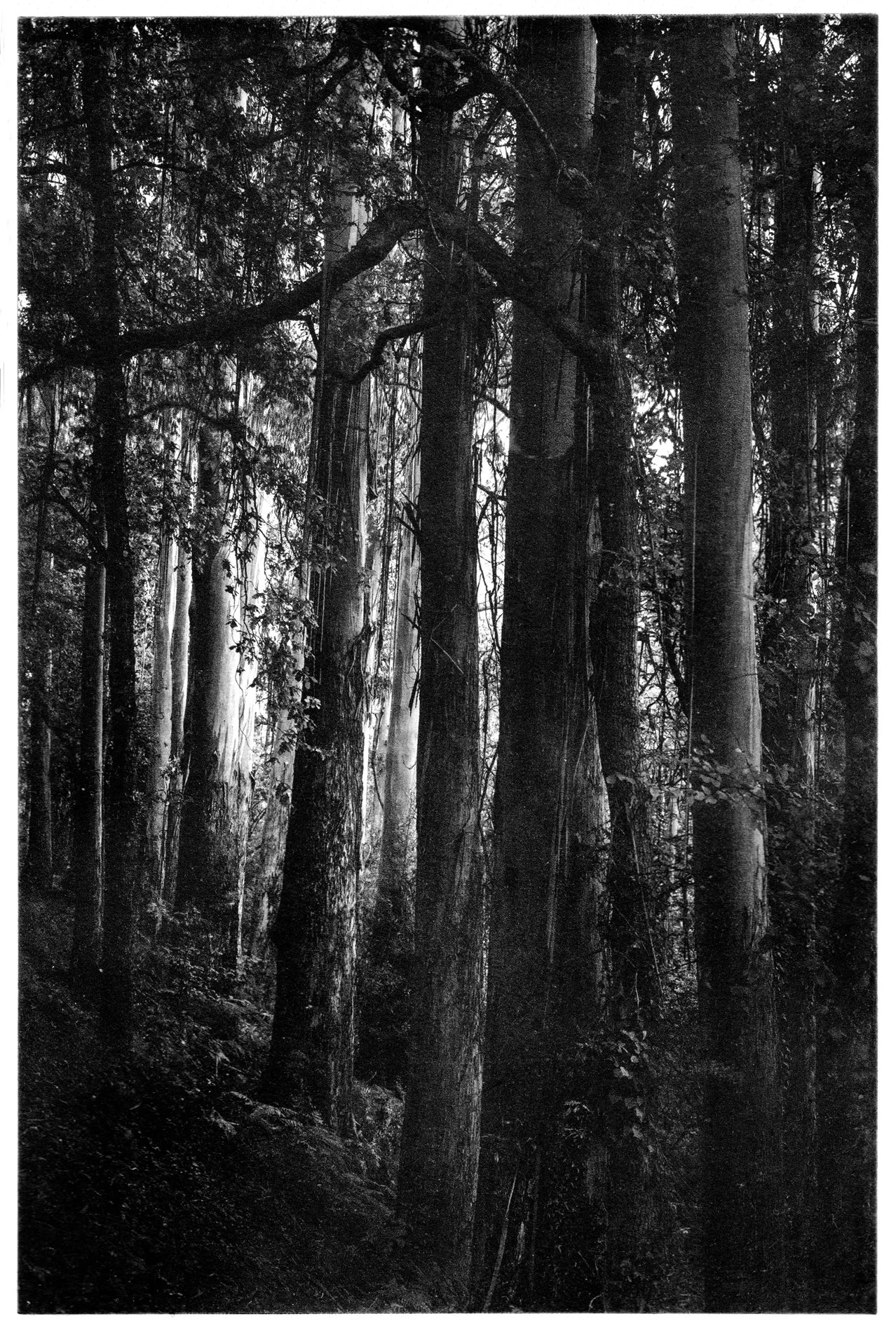 B Coste_20230421_01.jpg