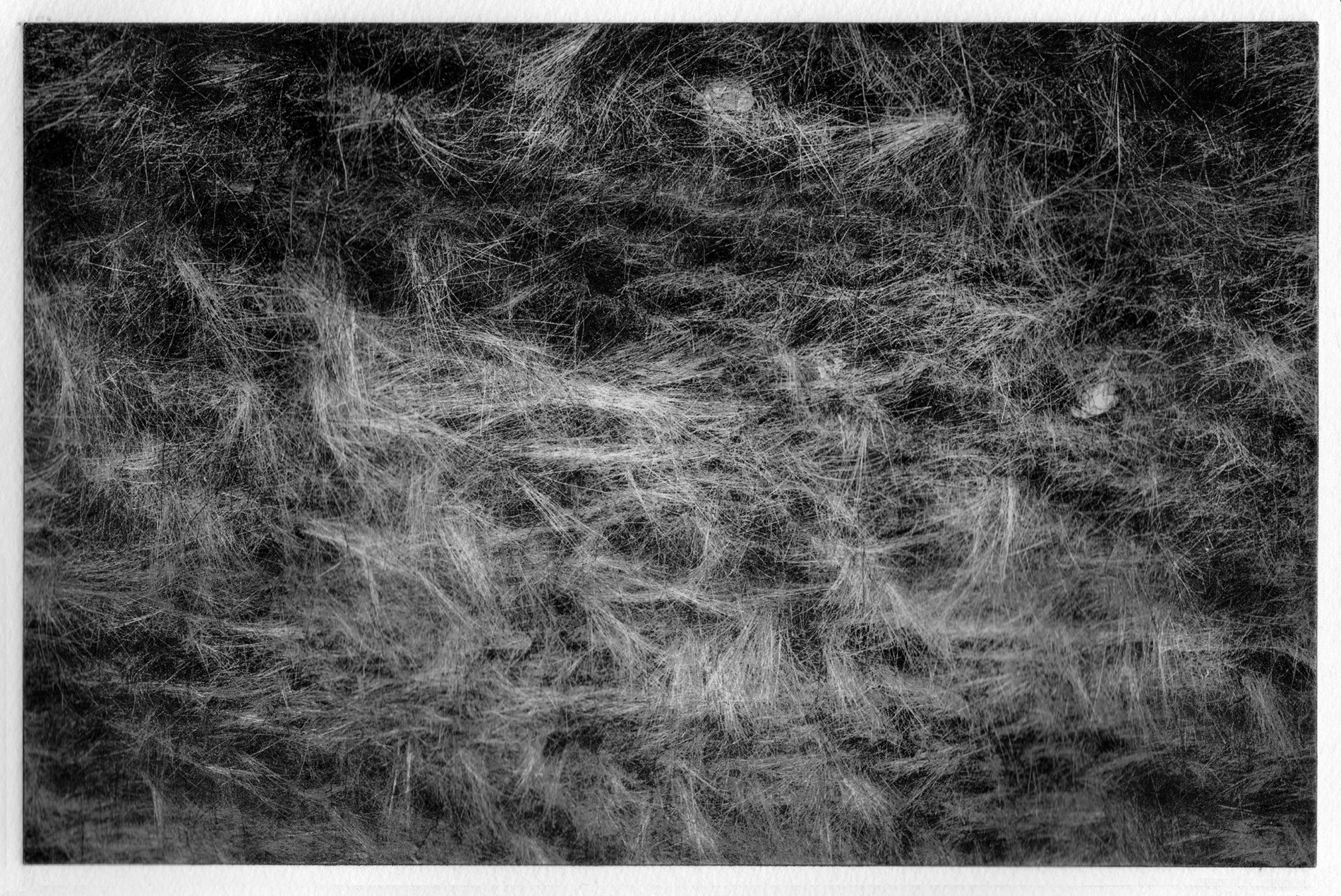 B Coste_243220230426_10.jpg