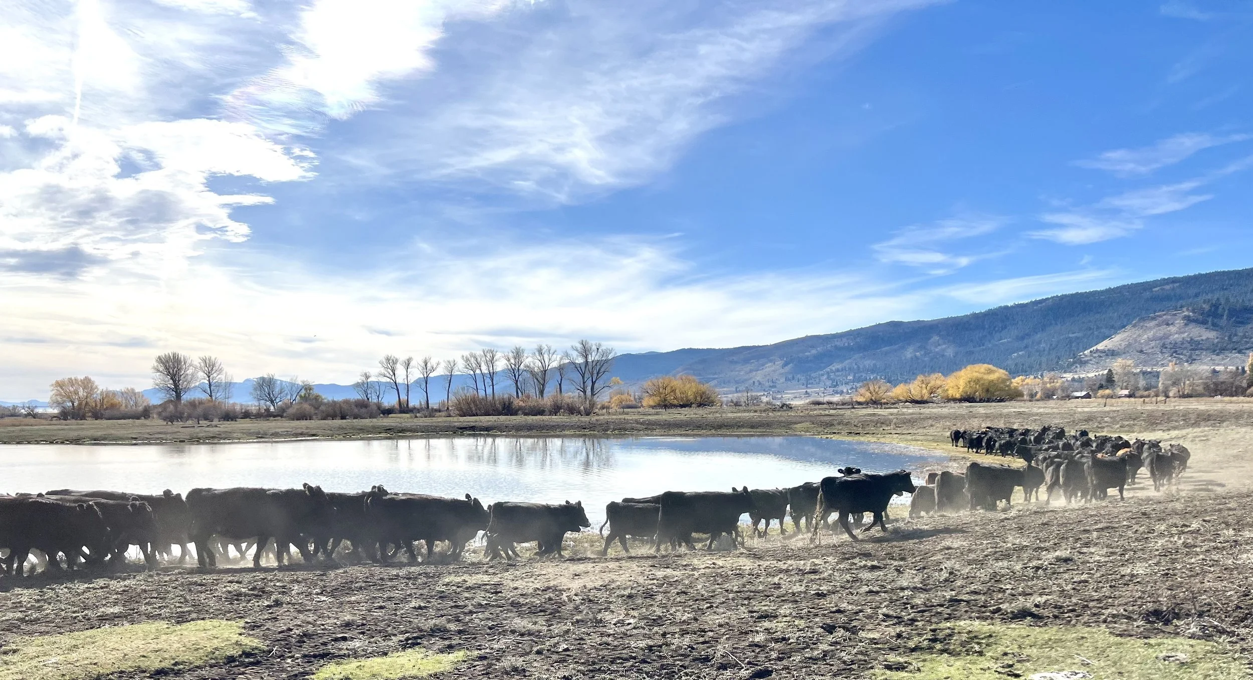 Let’s Celabrate a Win!