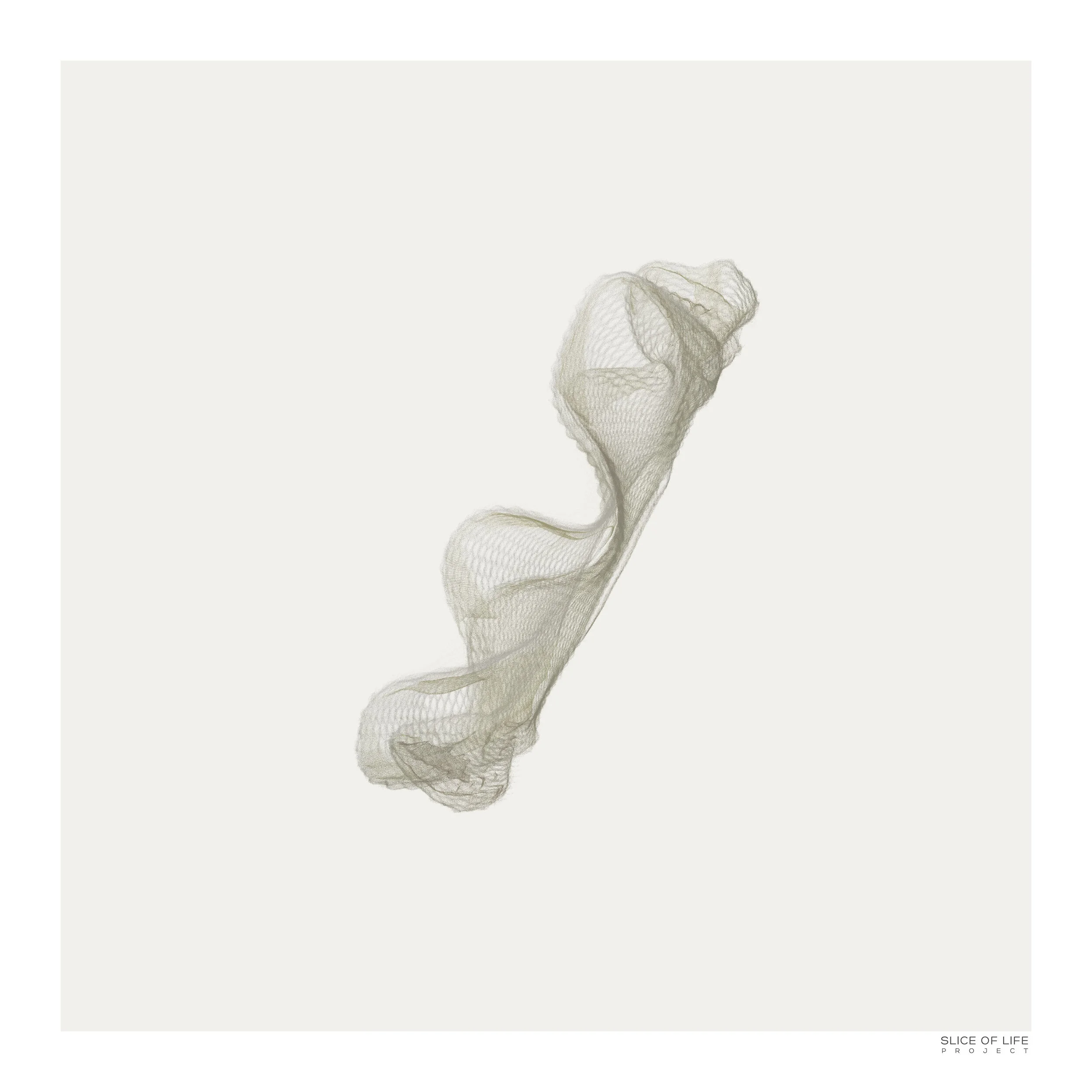 Parametric illusions I_web.jpg