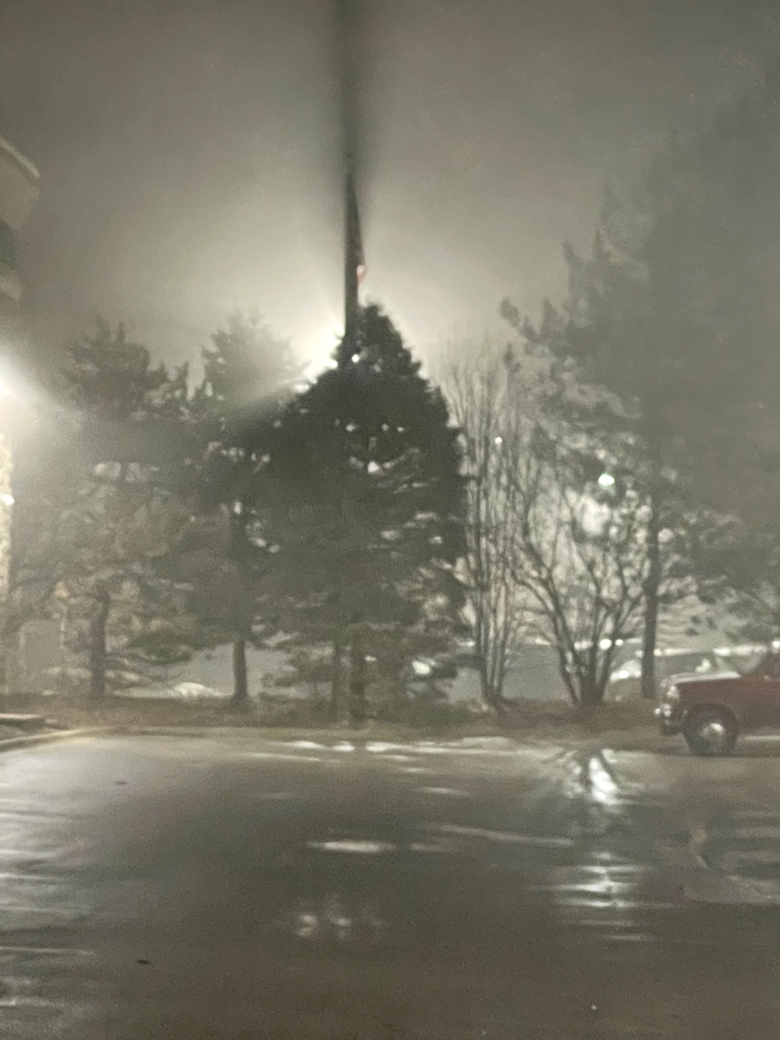 Nighttime scene with foggy weather, large evergreen trees, and a red pickup truck parked in an empty lot, with wet pavement reflecting lights.