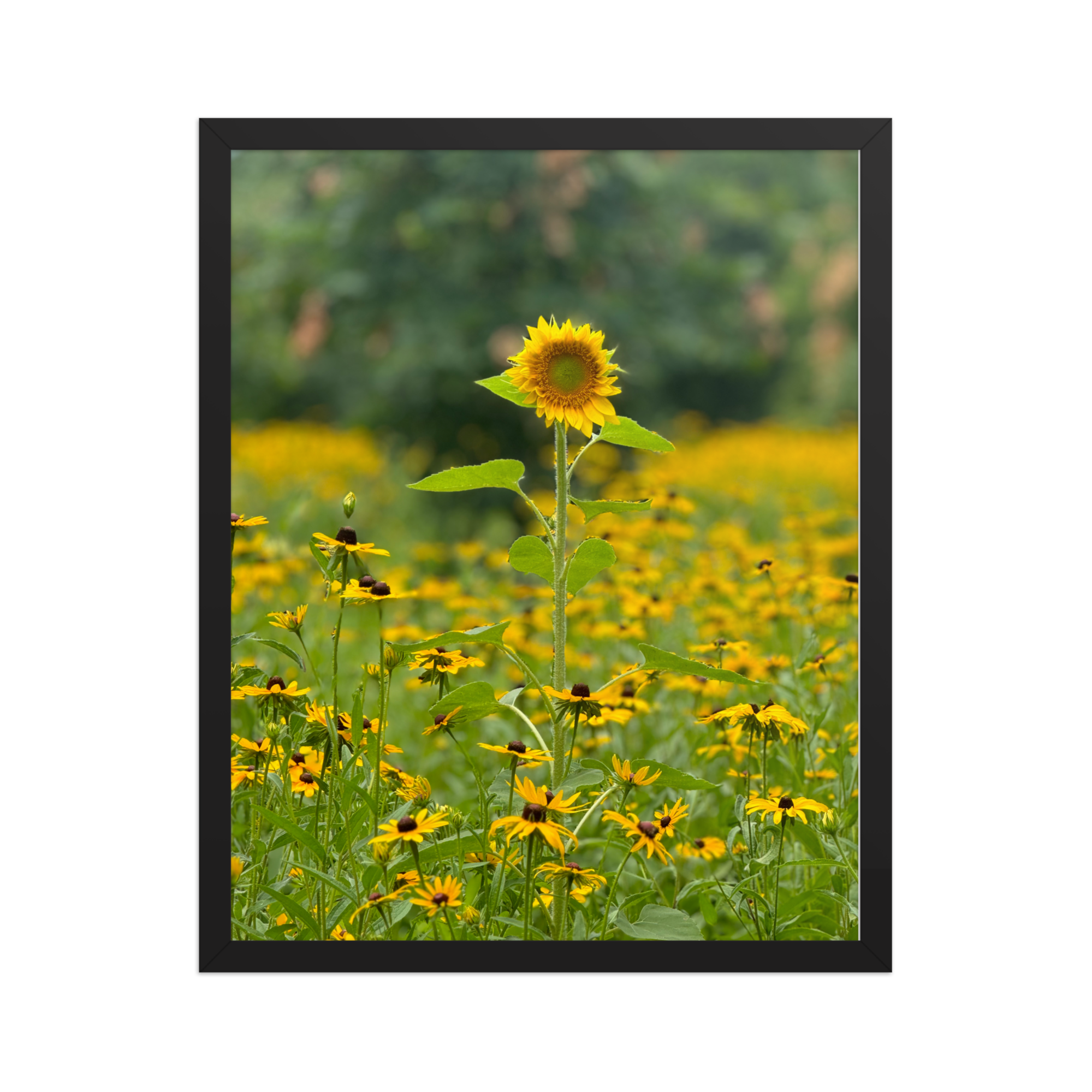 enhanced-matte-paper-framed-poster-(in)-black-16x20-front-6872eafe997ca.png
