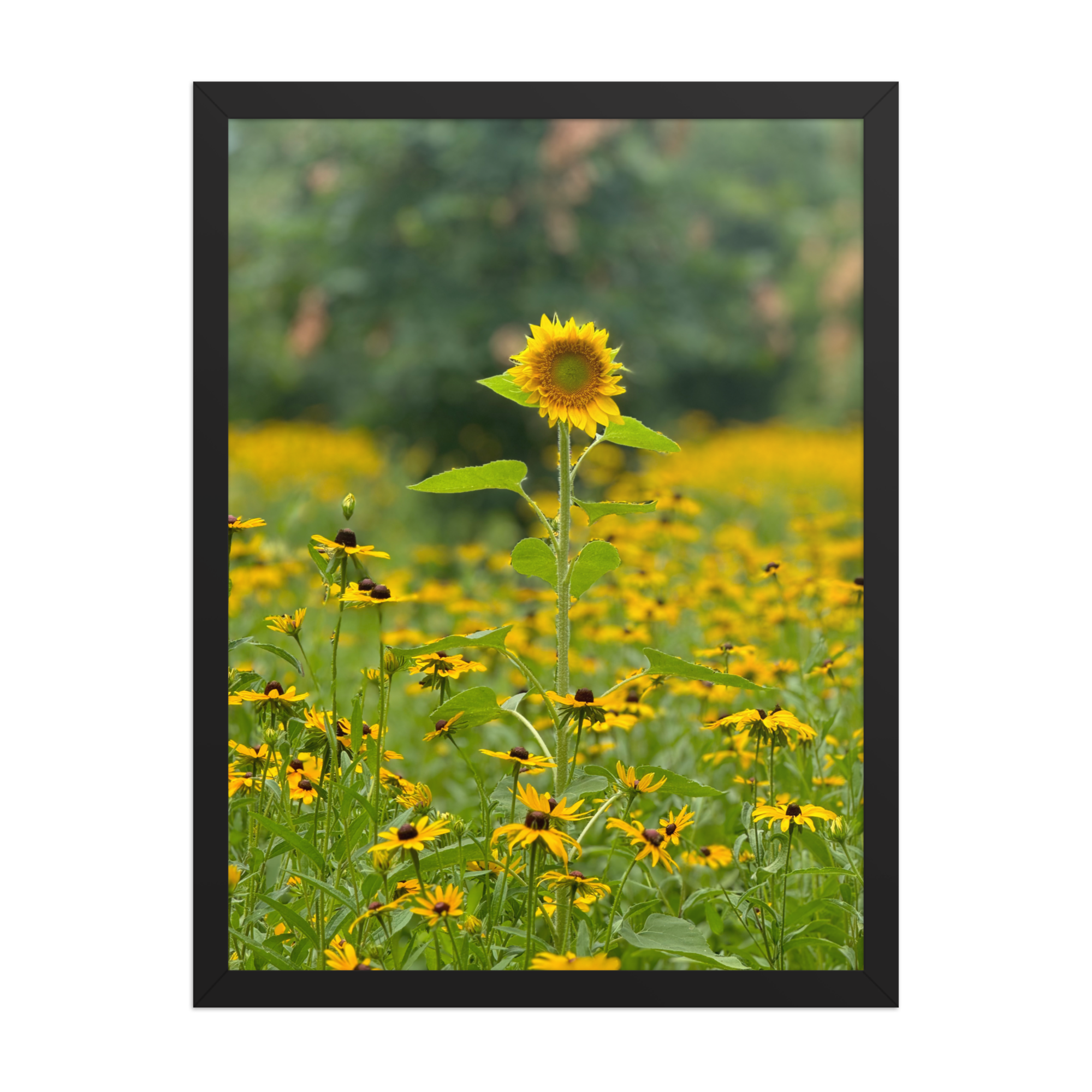 enhanced-matte-paper-framed-poster-(in)-black-18x24-front-6872eafe99f3a.png