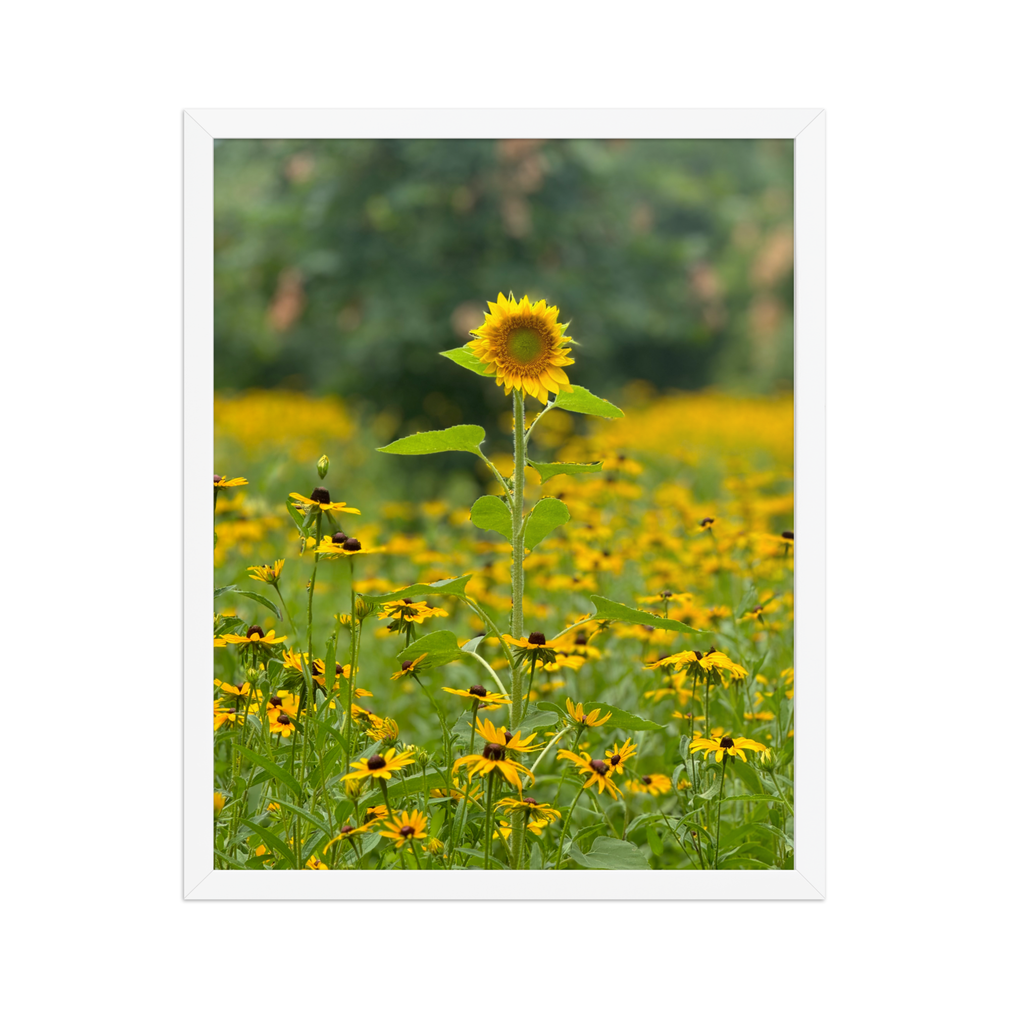 enhanced-matte-paper-framed-poster-(in)-white-16x20-front-6872eafe9a21e.png